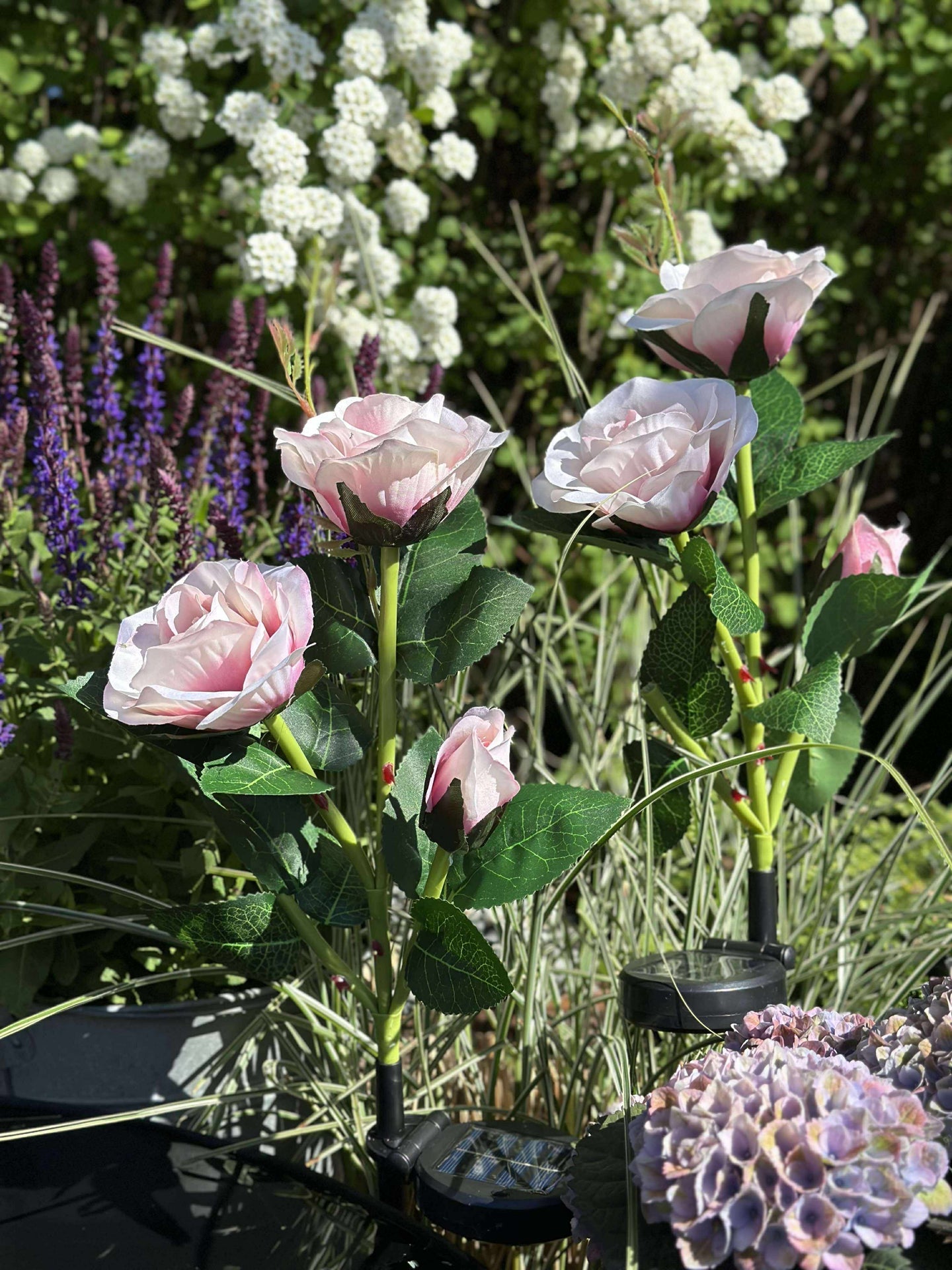 Rose med solceller - Rosa