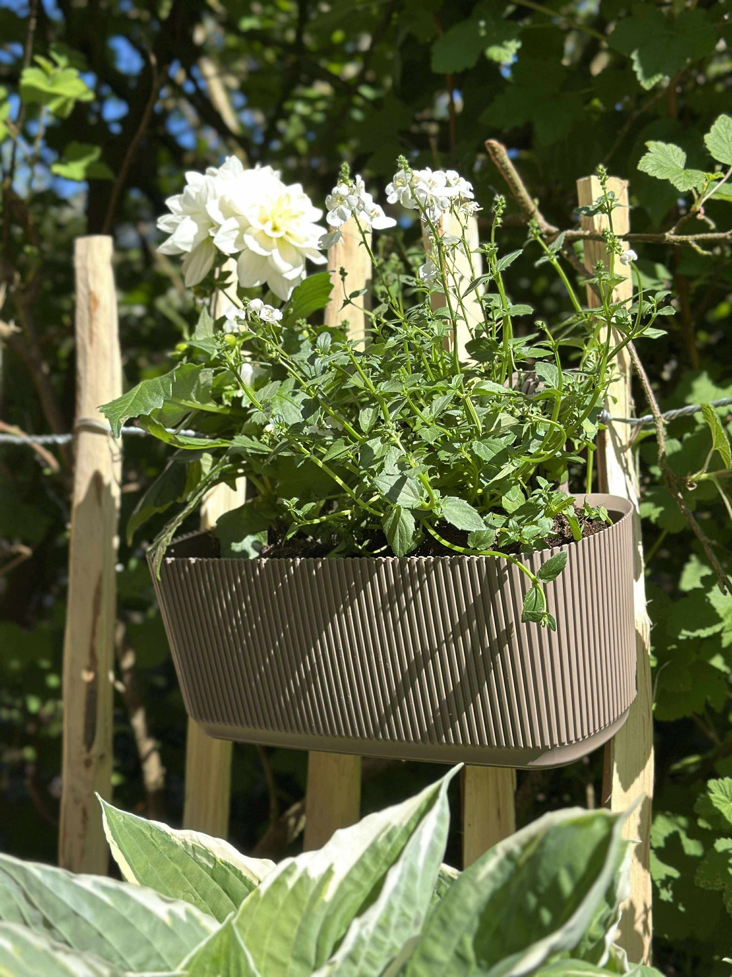 Plantekasse med oppheng - Beige