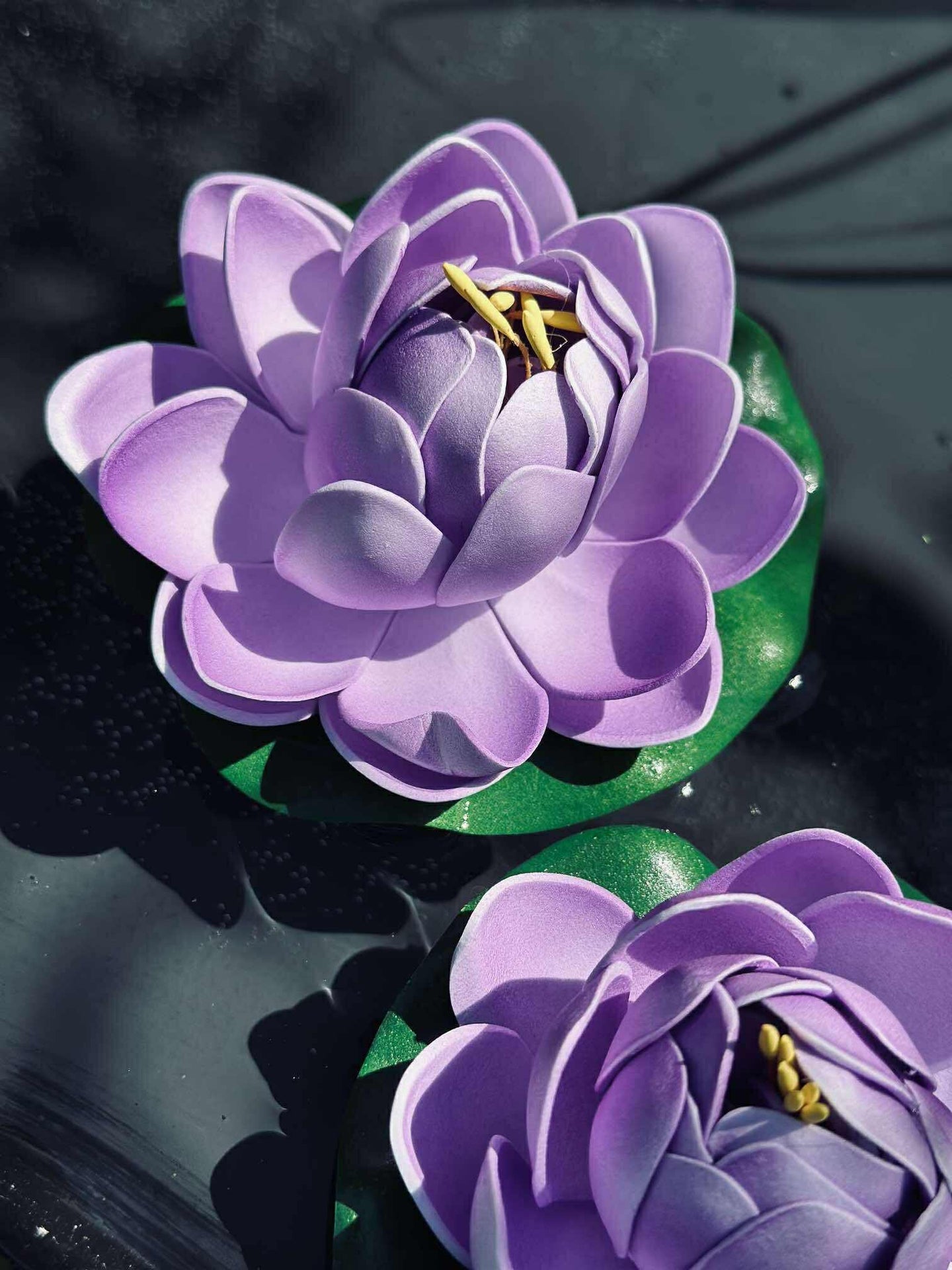 Lotus - Flere farger