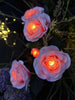 Rose med solceller - Rosa