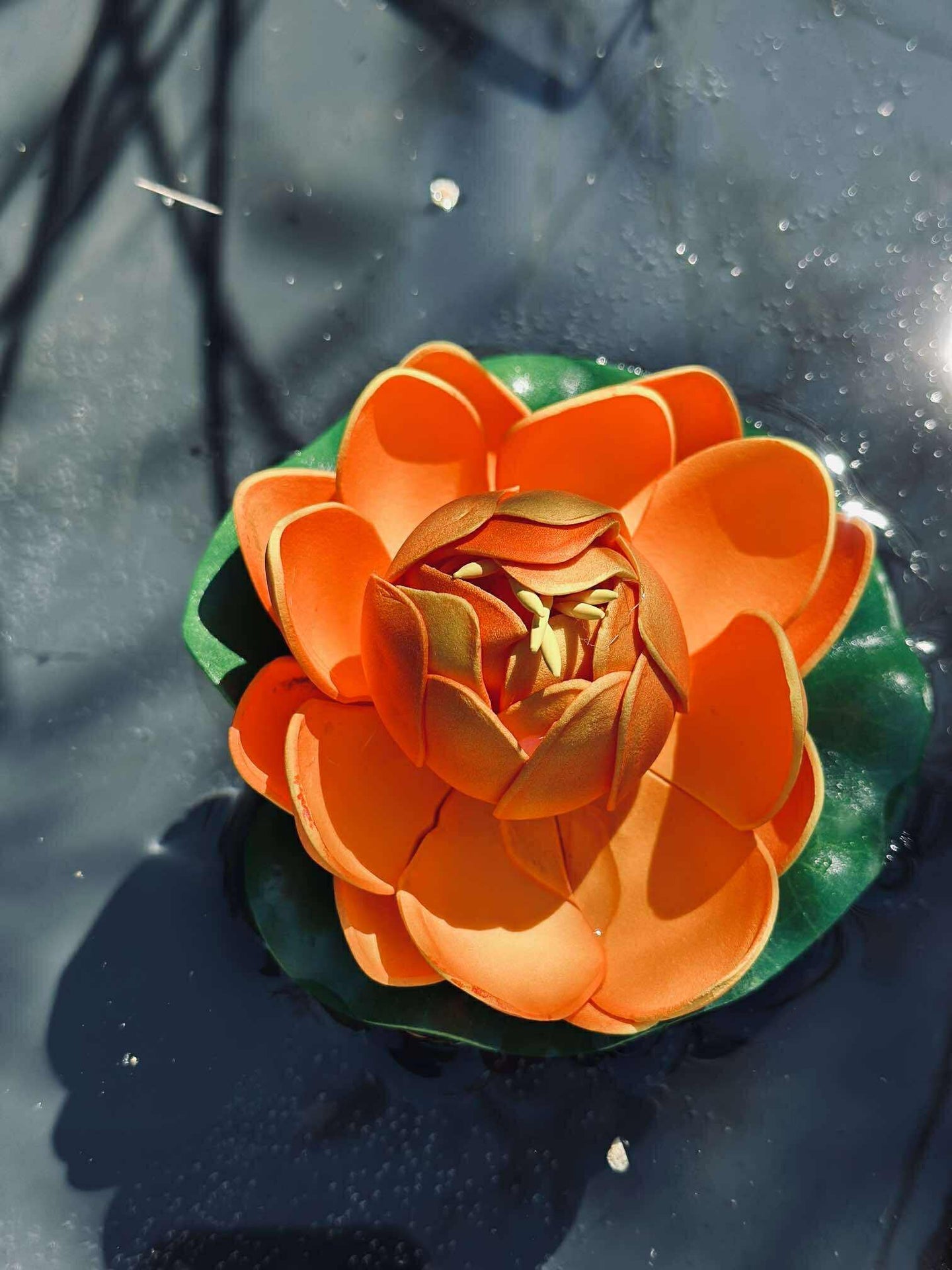 Lotus - Flere farger