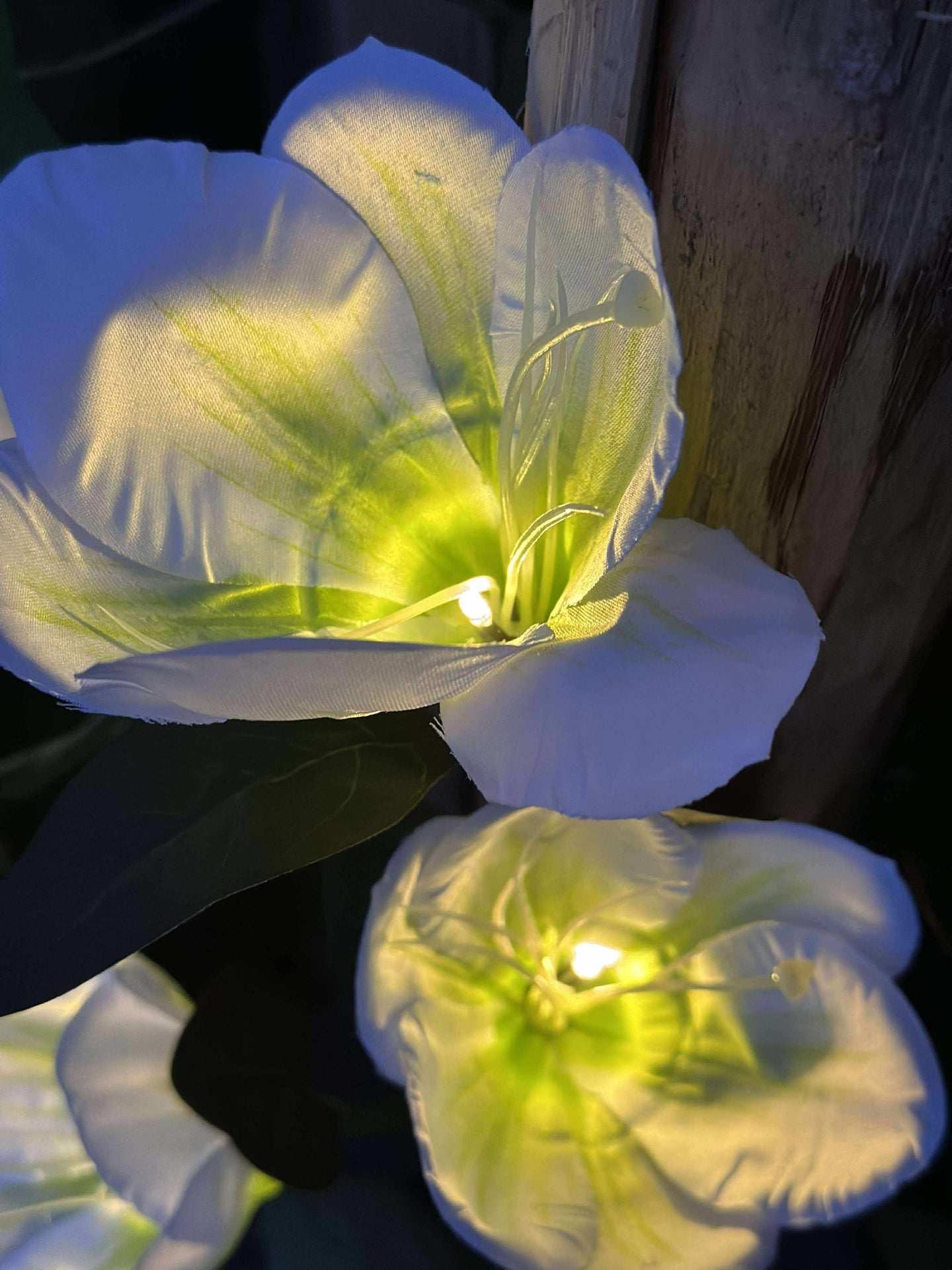Magnolia med solceller - Hvit