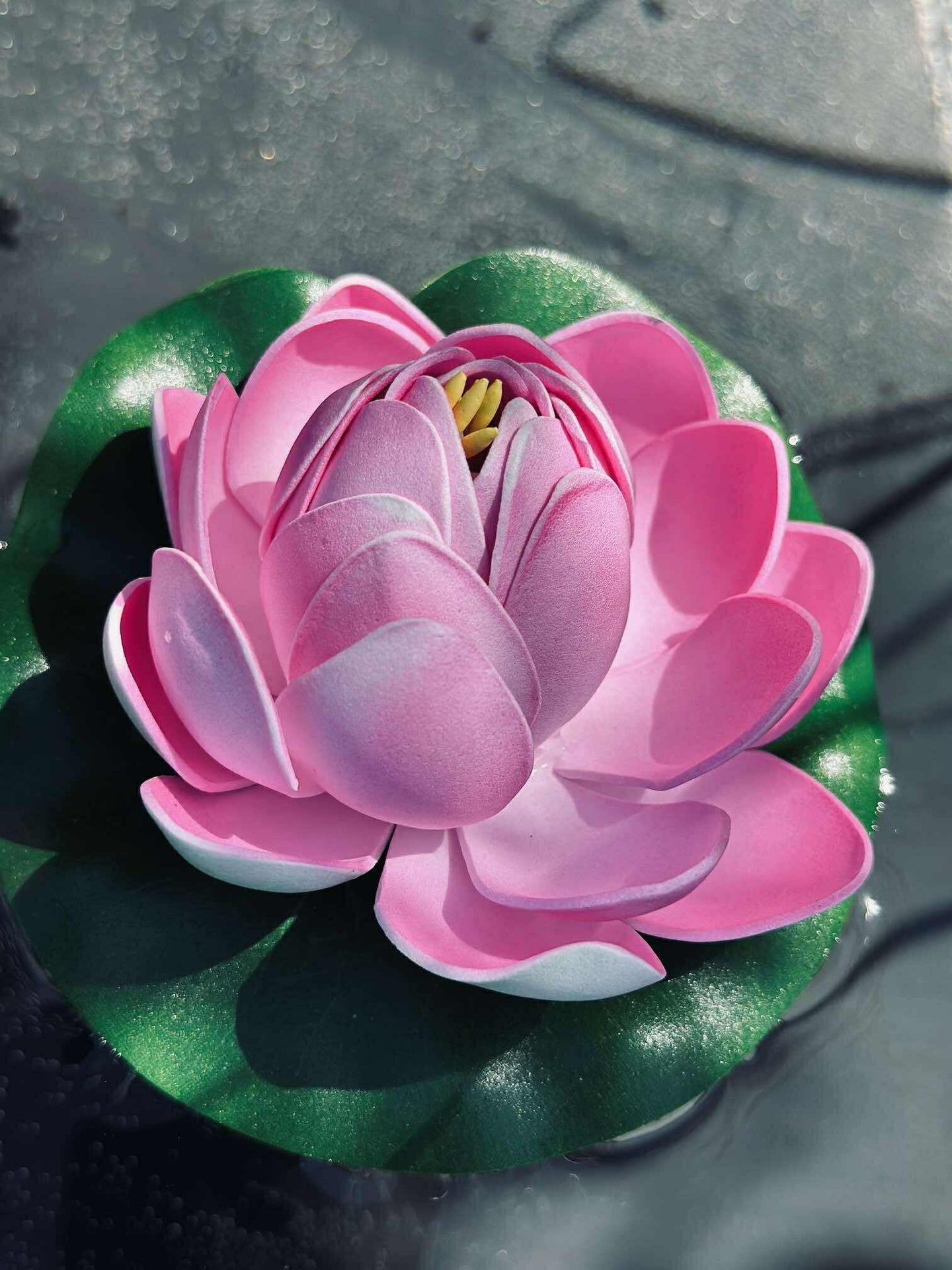 Lotus - Flere farger