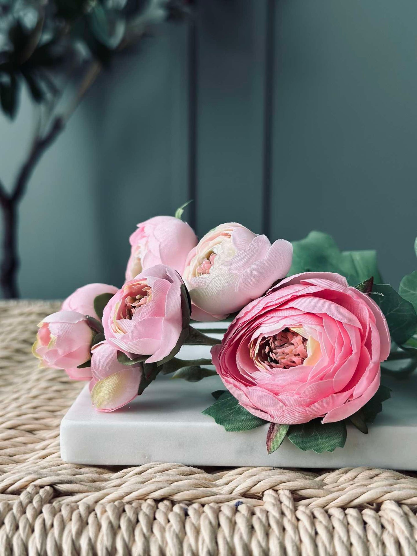 Blomst Ranunkel stilk
