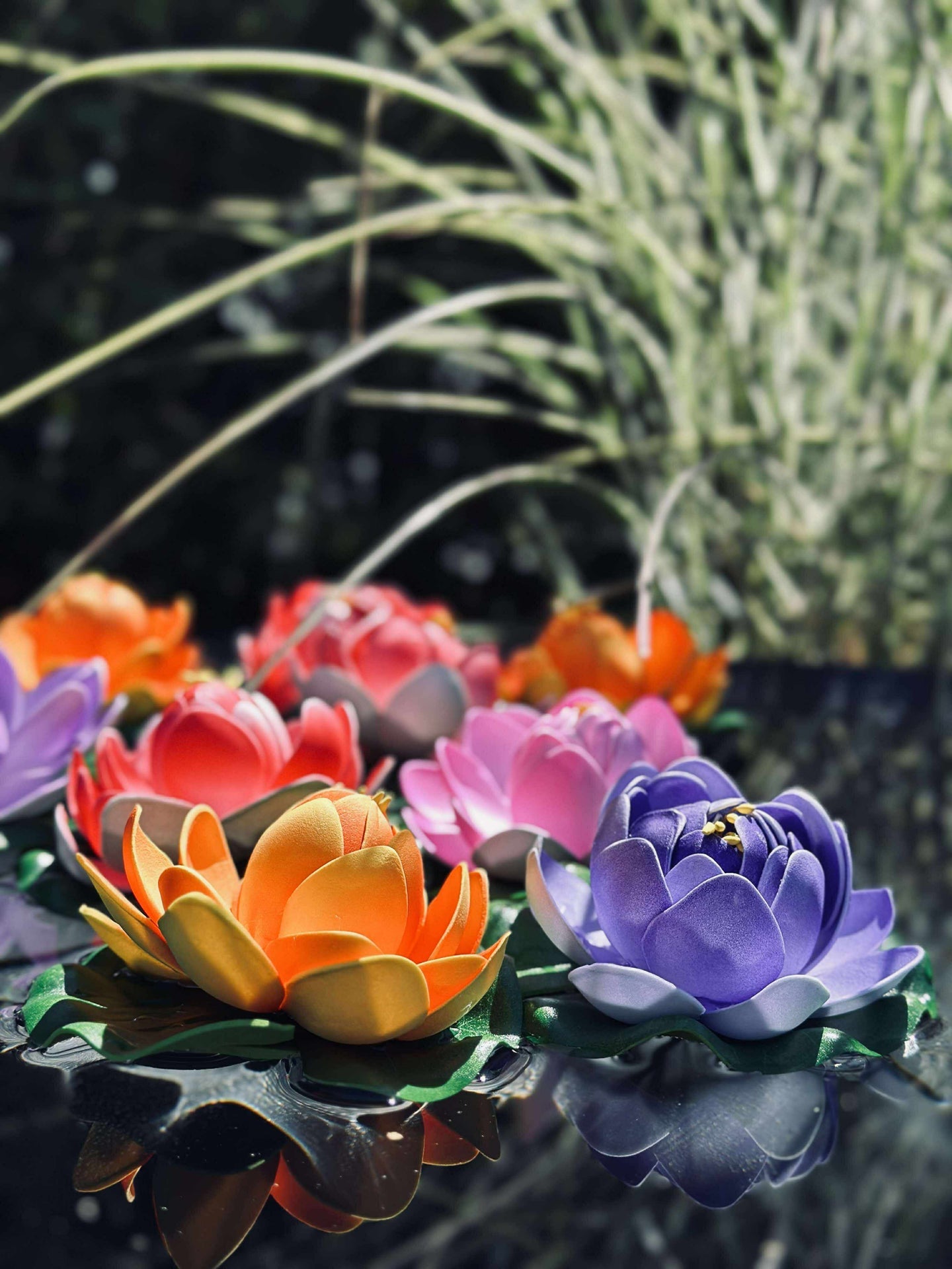 Lotus - Flere farger