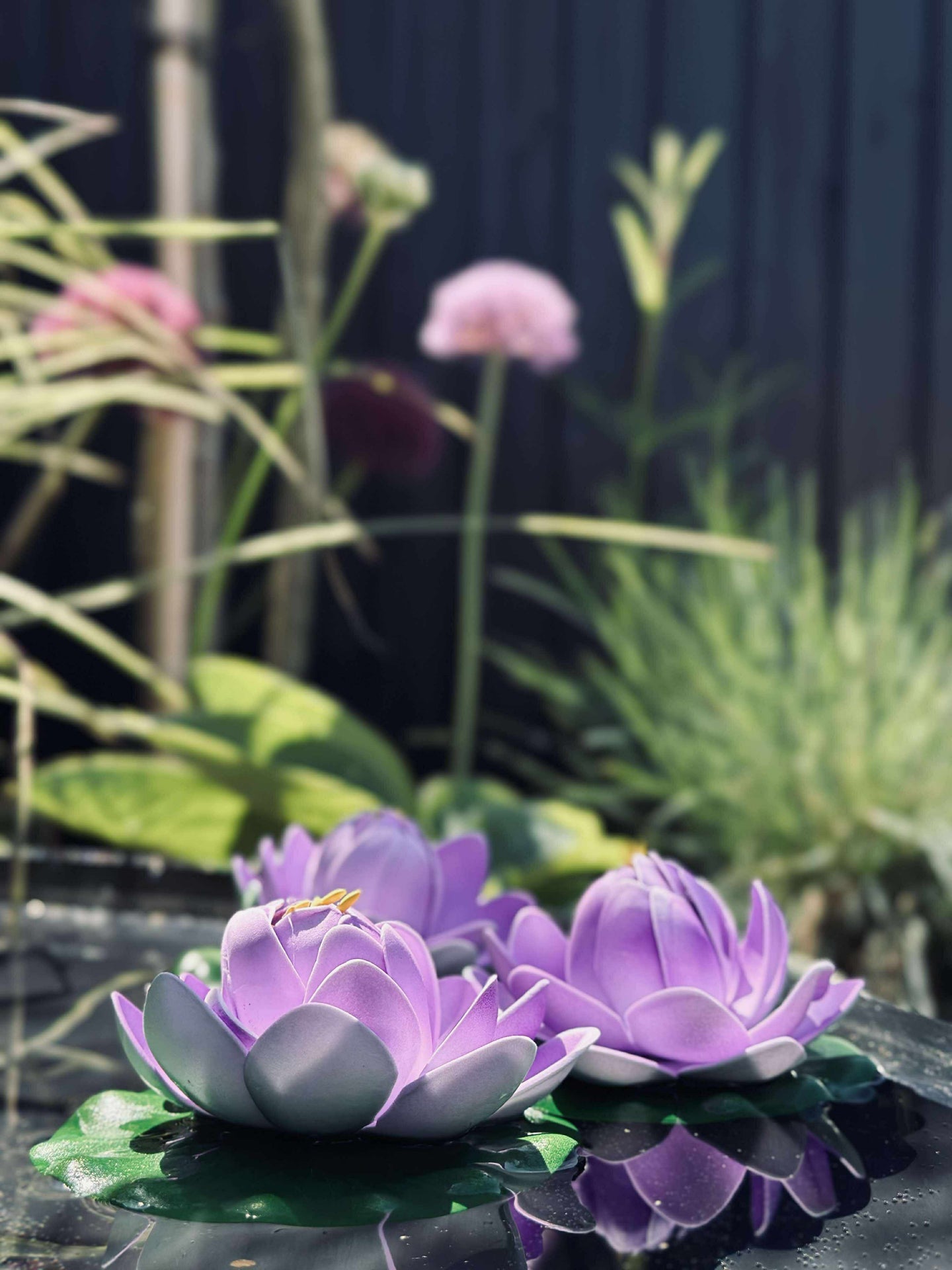 Lotus - Flere farger