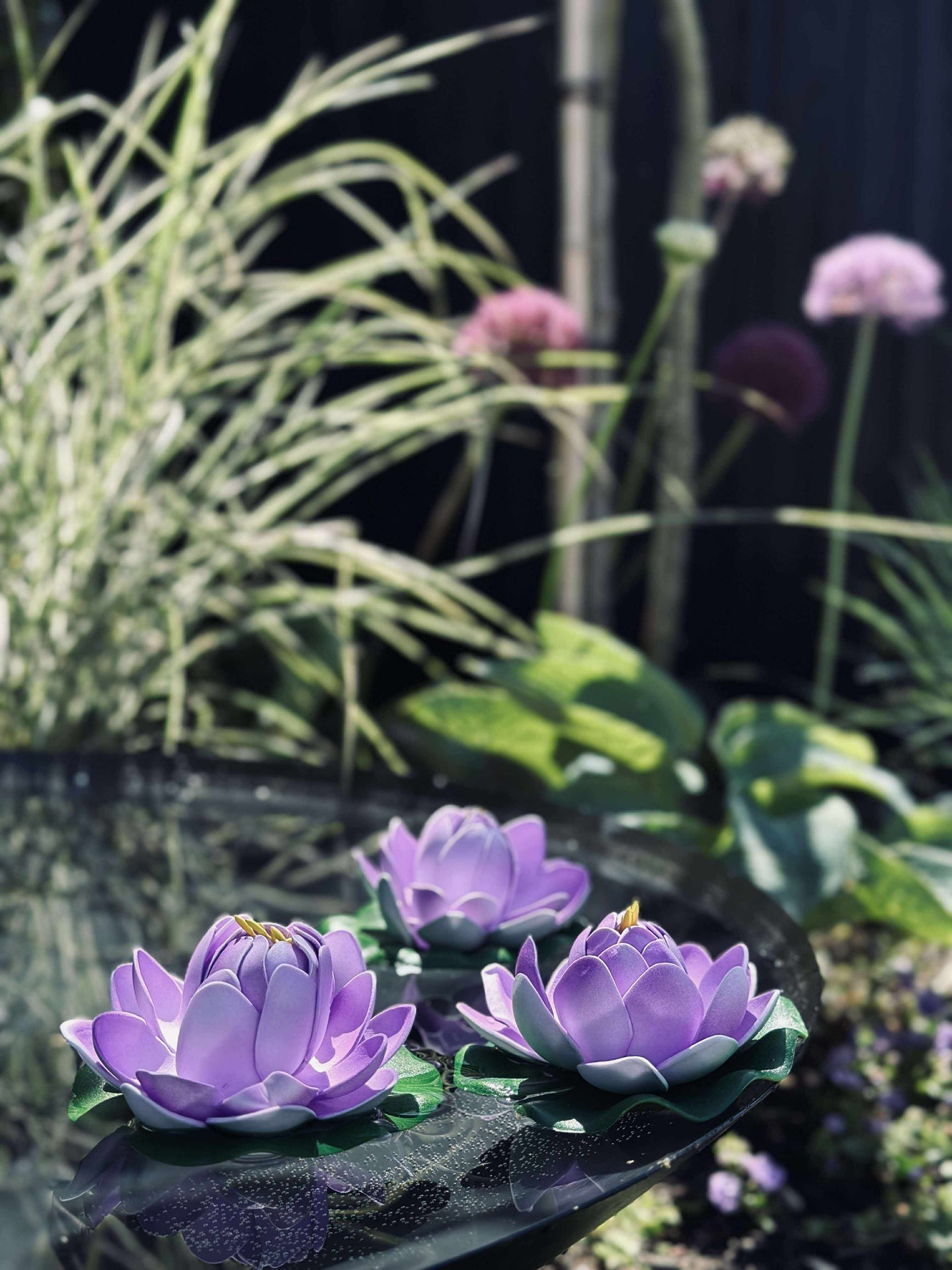 Lotus - Flere farger