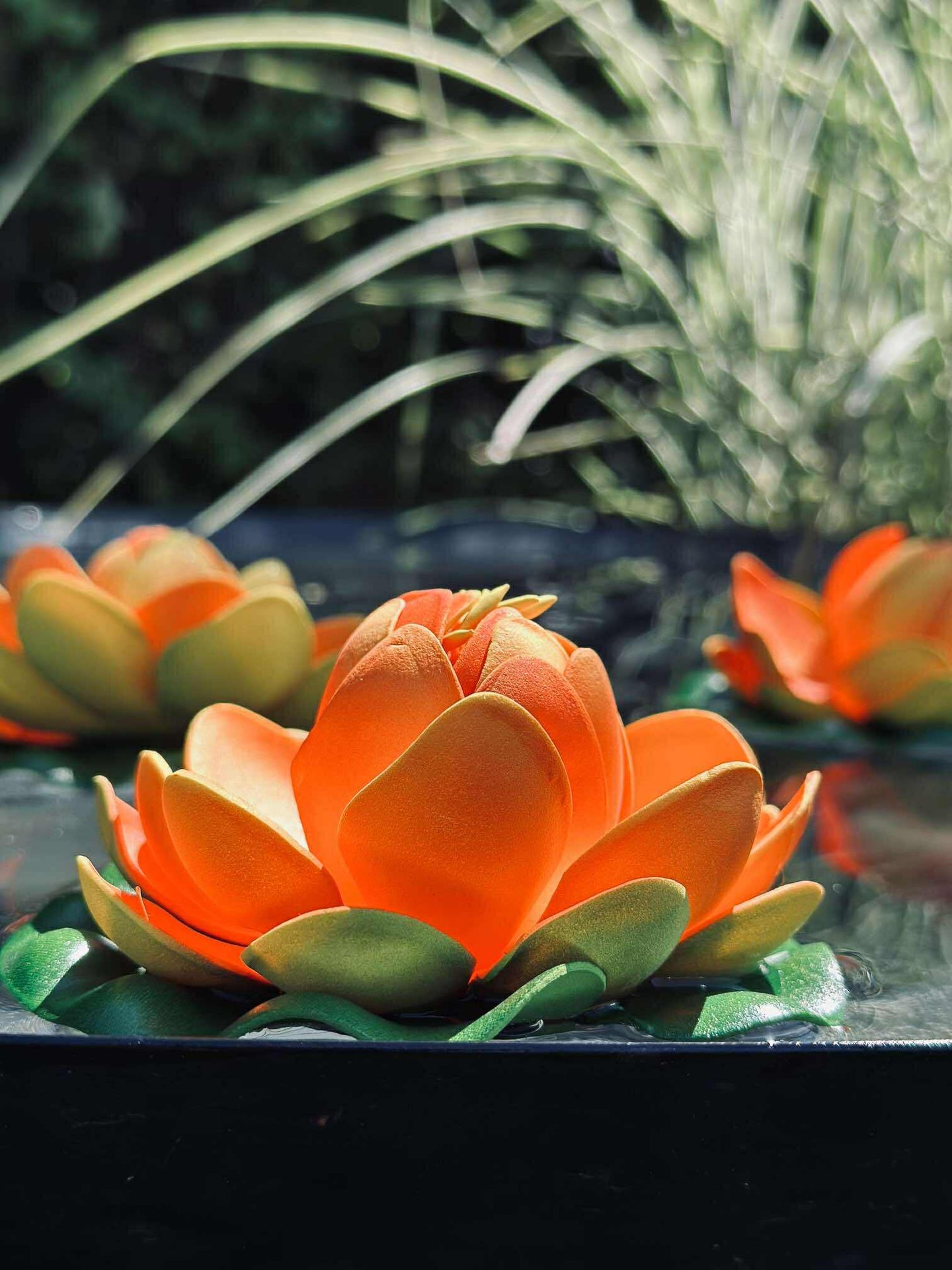 Lotus - Flere farger