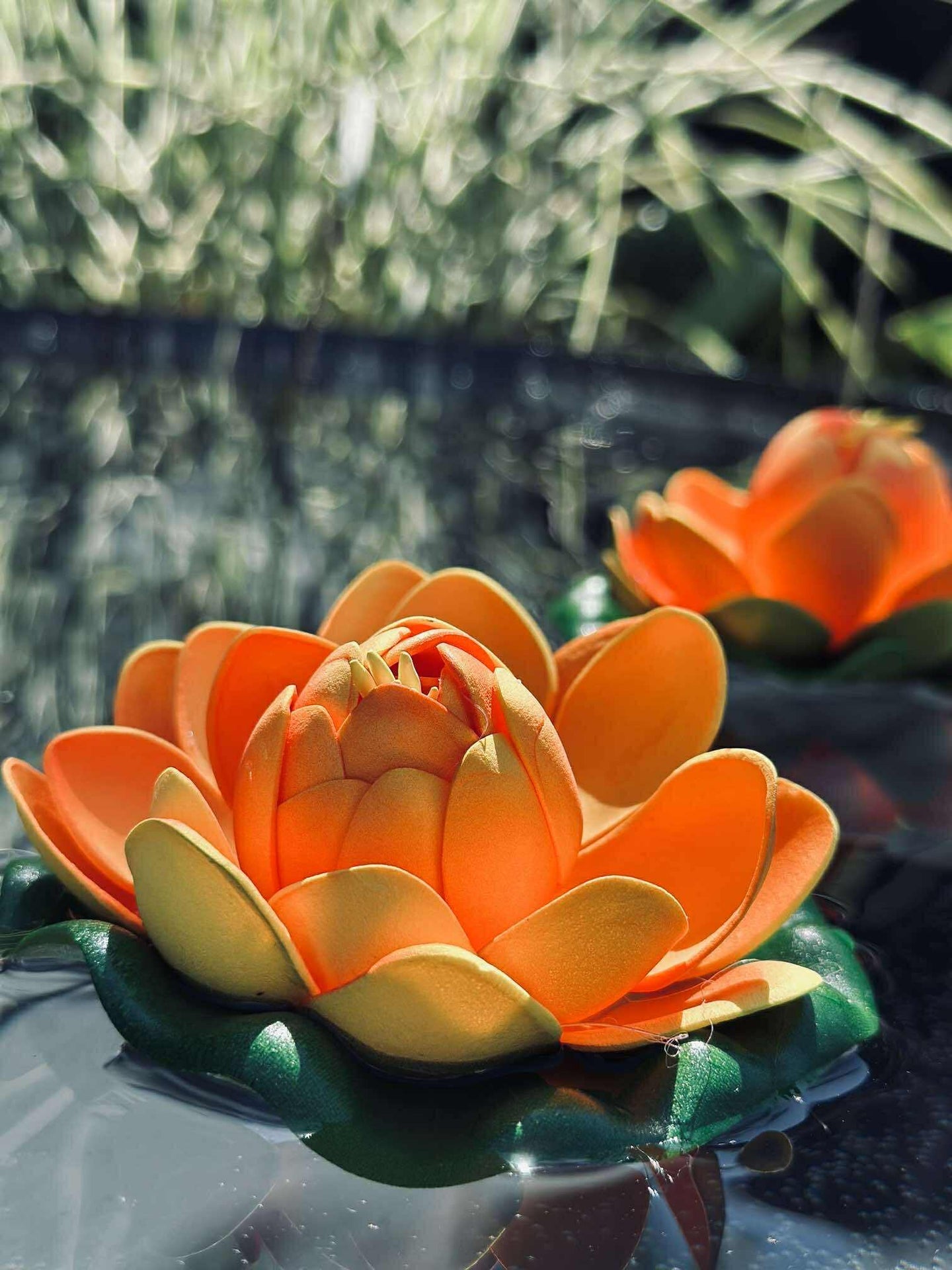 Lotus - Flere farger