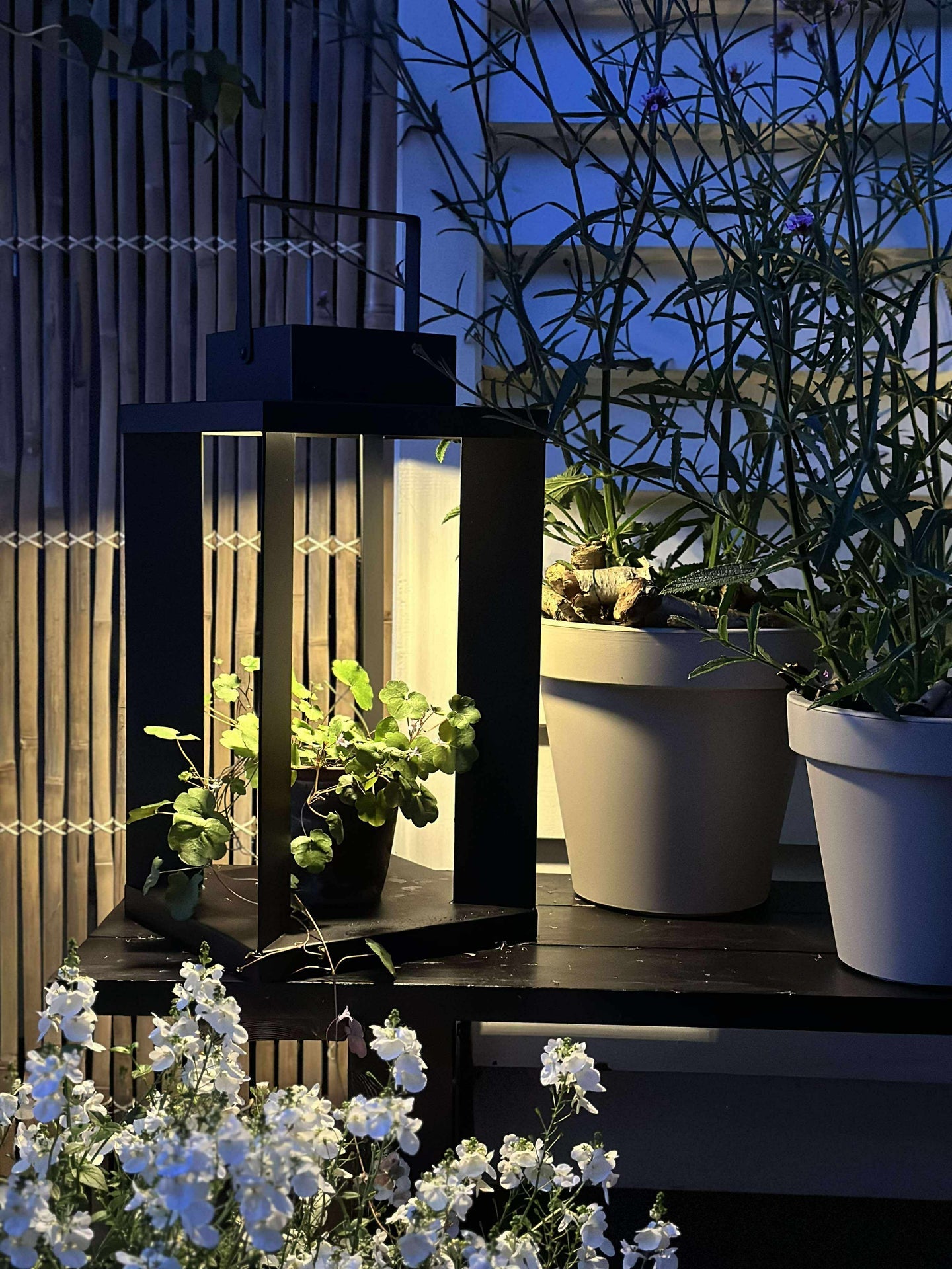 Lanterne LUX med solceller