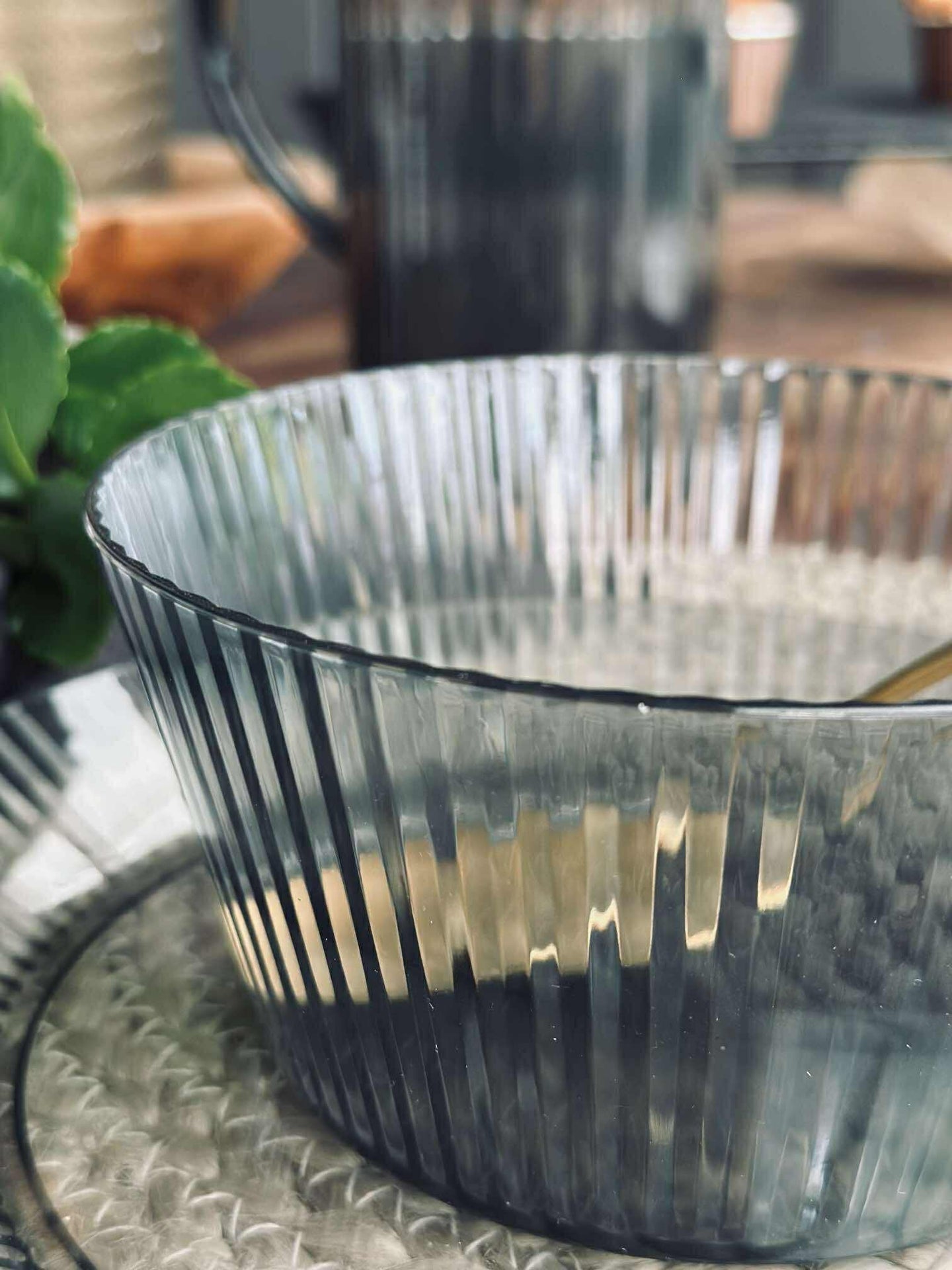 Bolle DAILY Grå - Sett 4 stk.