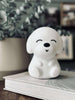 Nattlampe - Hund