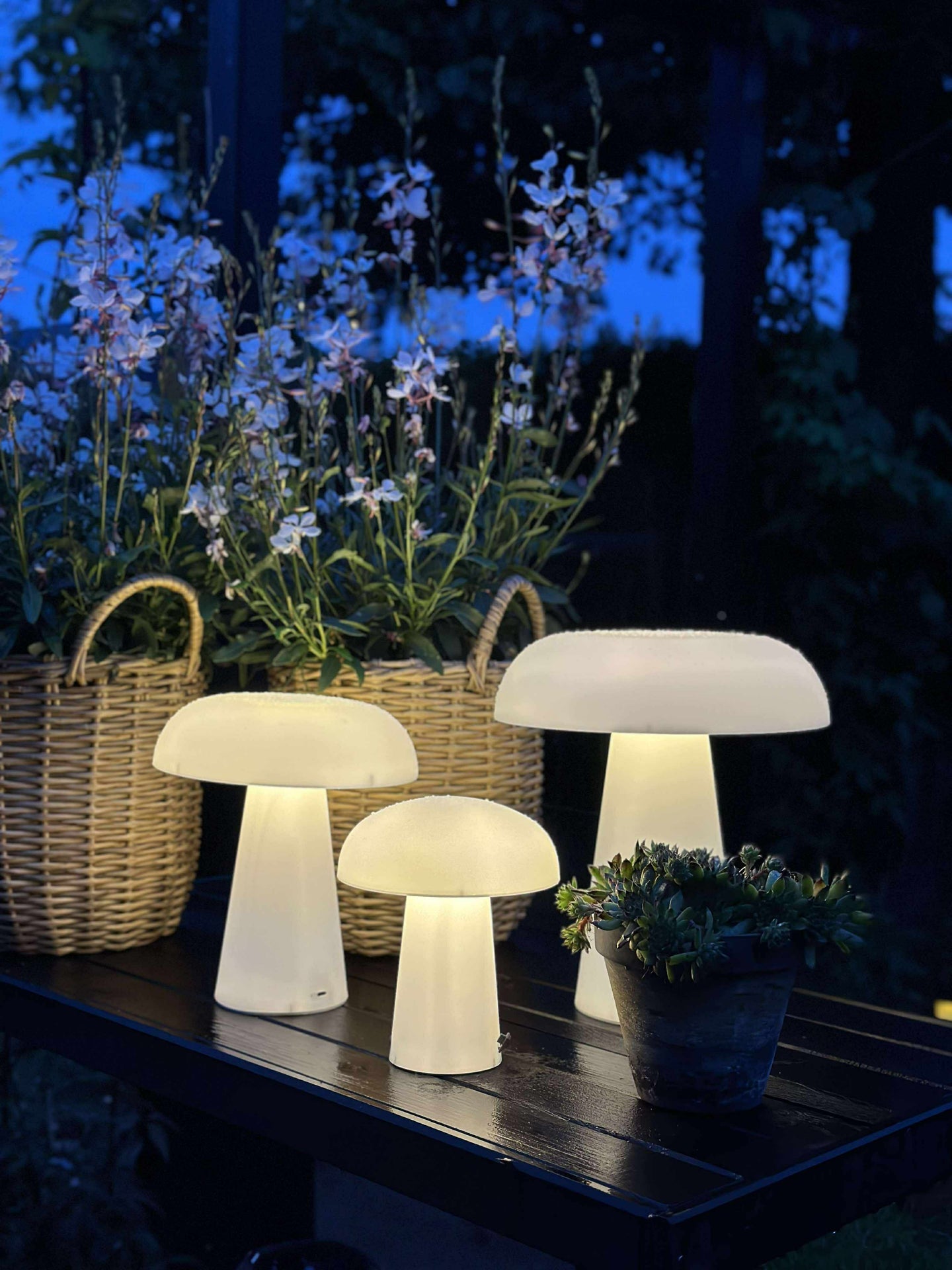 Mushroom oppladbar - XL