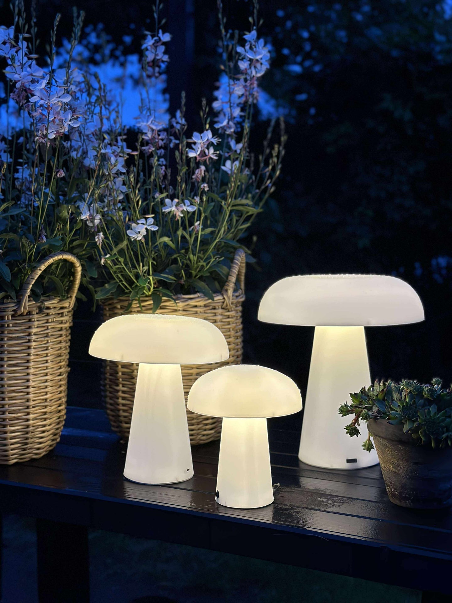 Mushroom oppladbar - XL