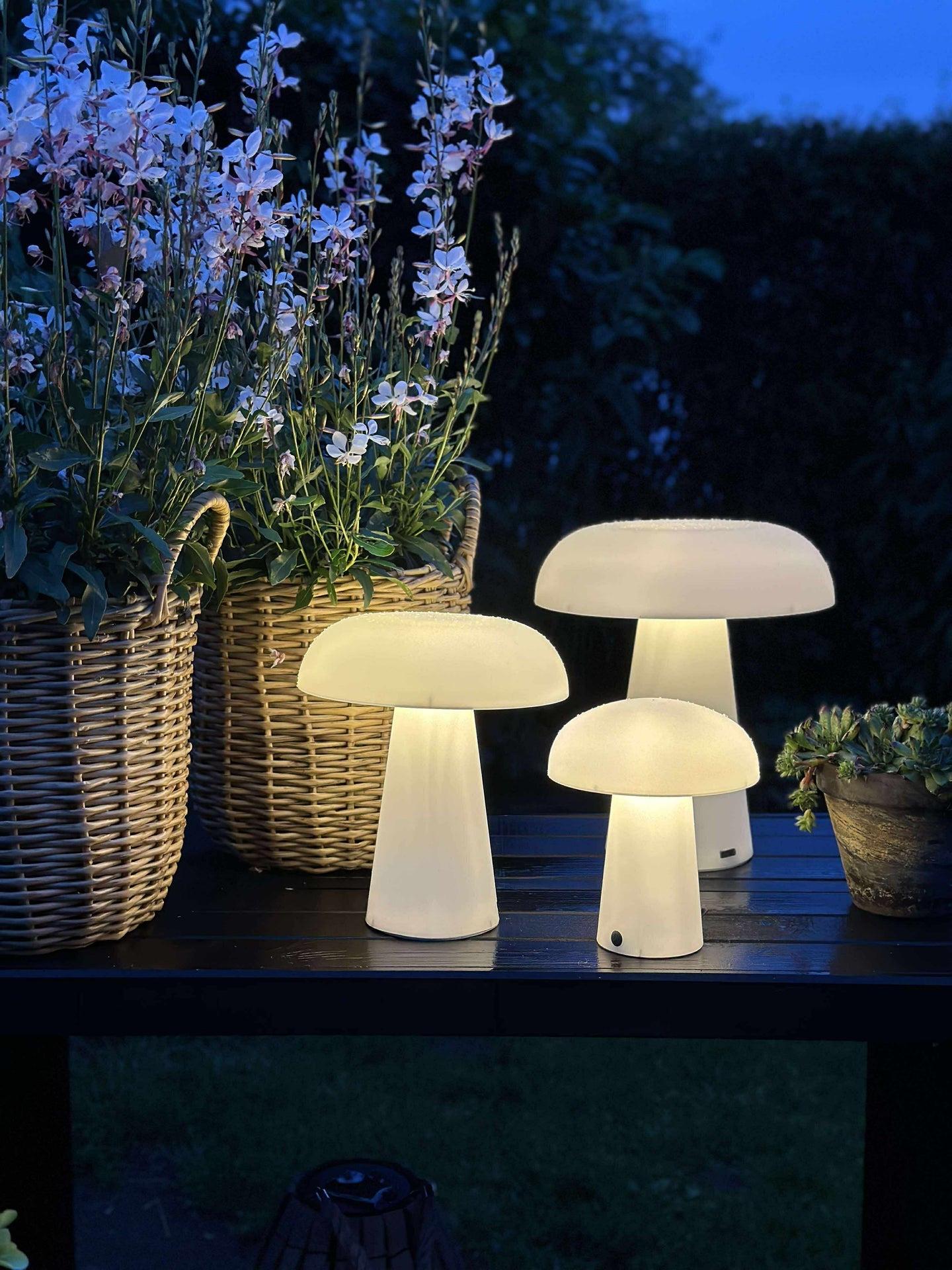 Mushroom oppladbar - XL