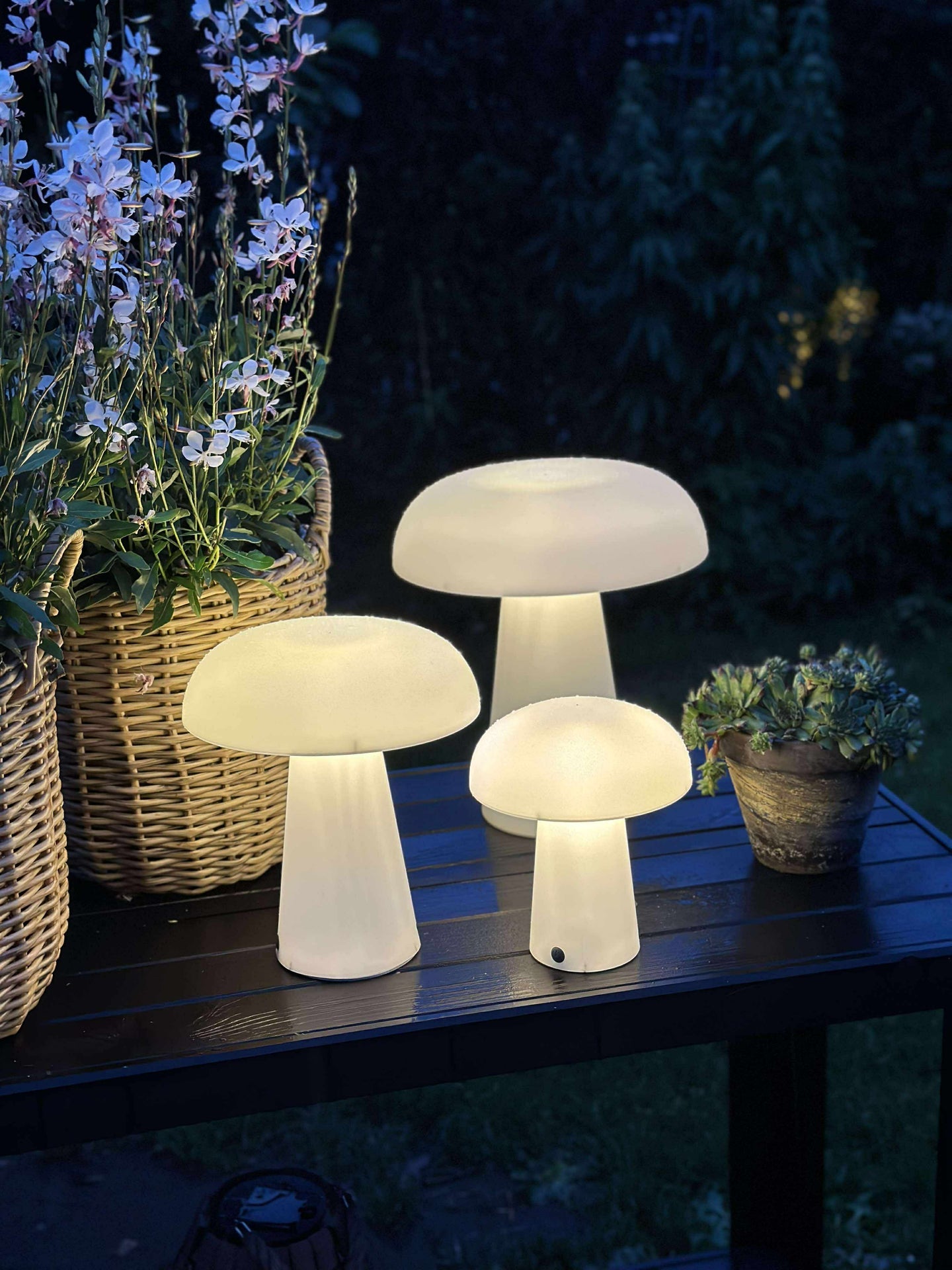 Mushroom oppladbar - XL
