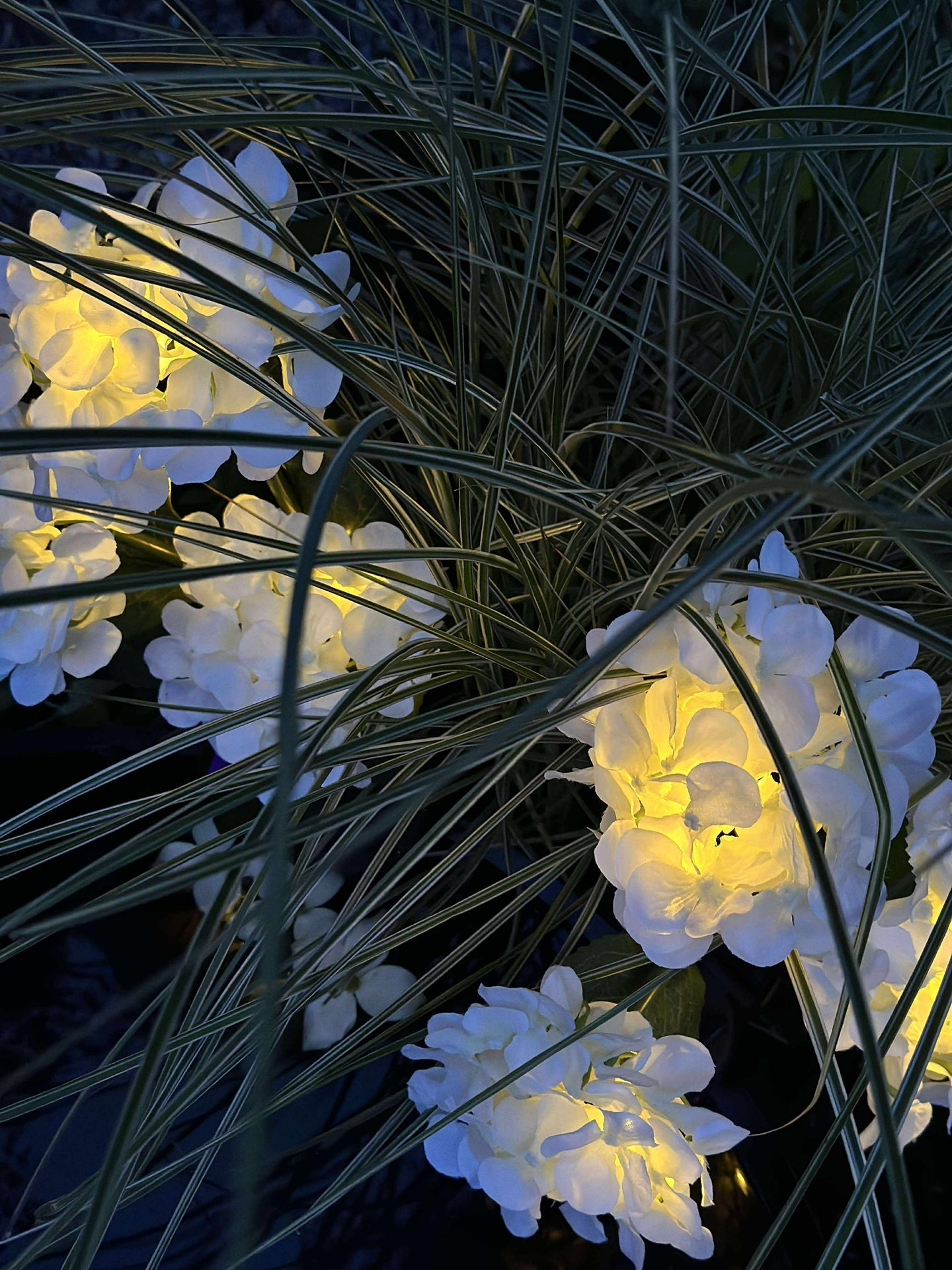 Hortensia med solceller - Hvit