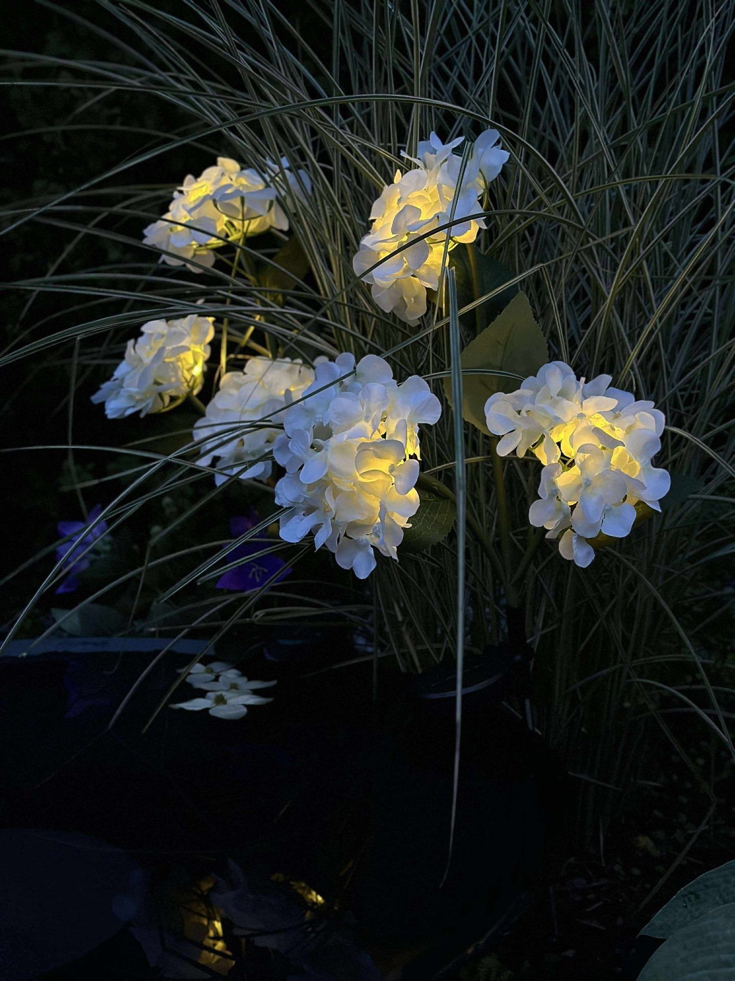 Hortensia med solceller - Hvit