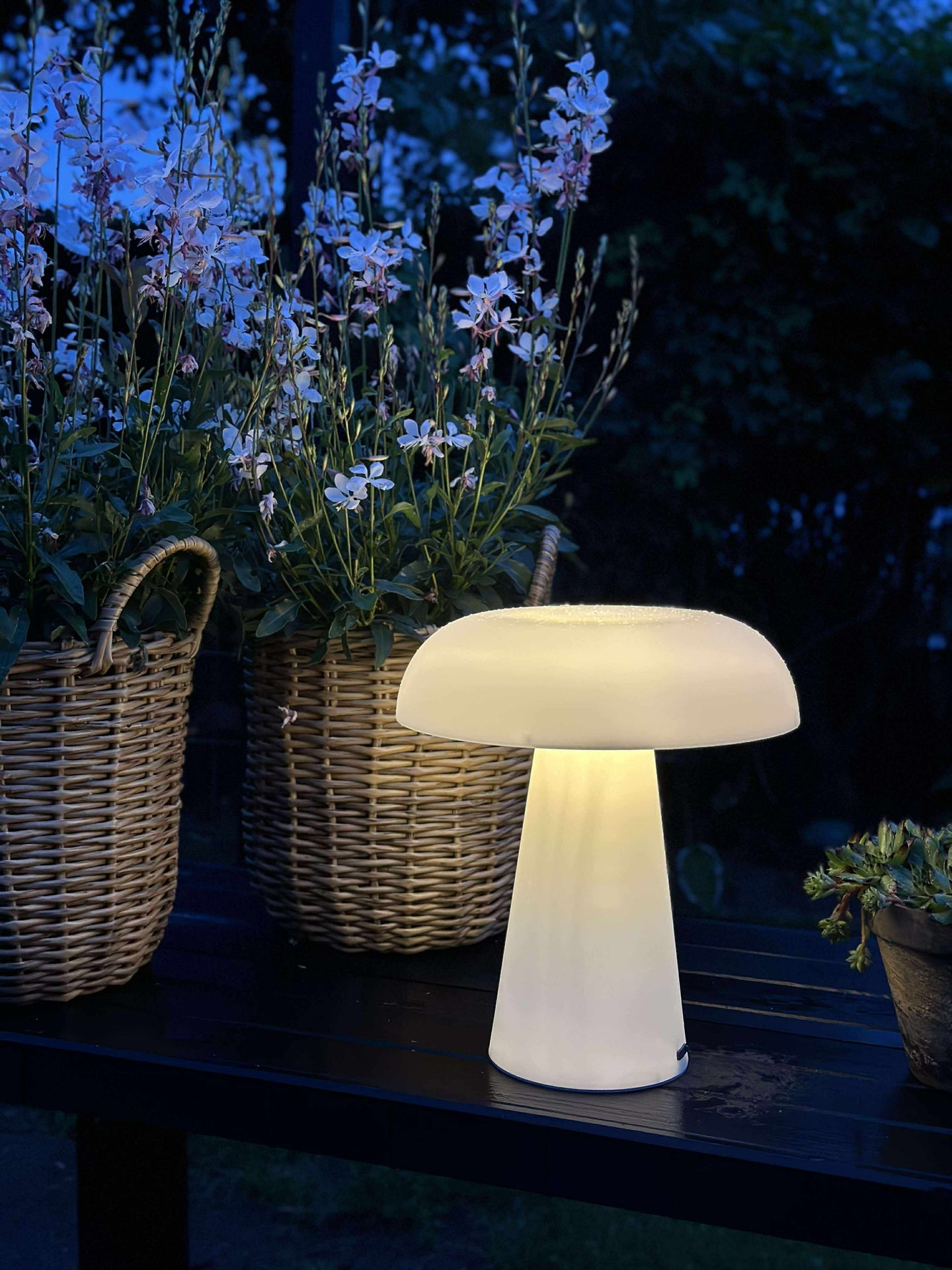 Mushroom oppladbar - Small