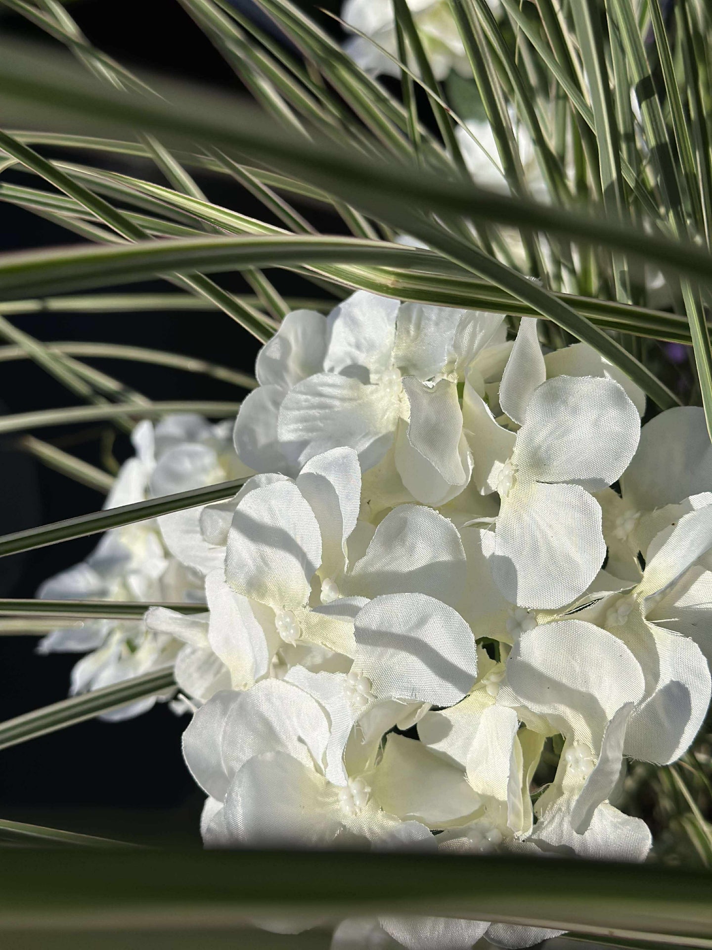 Hortensia med solceller - Hvit