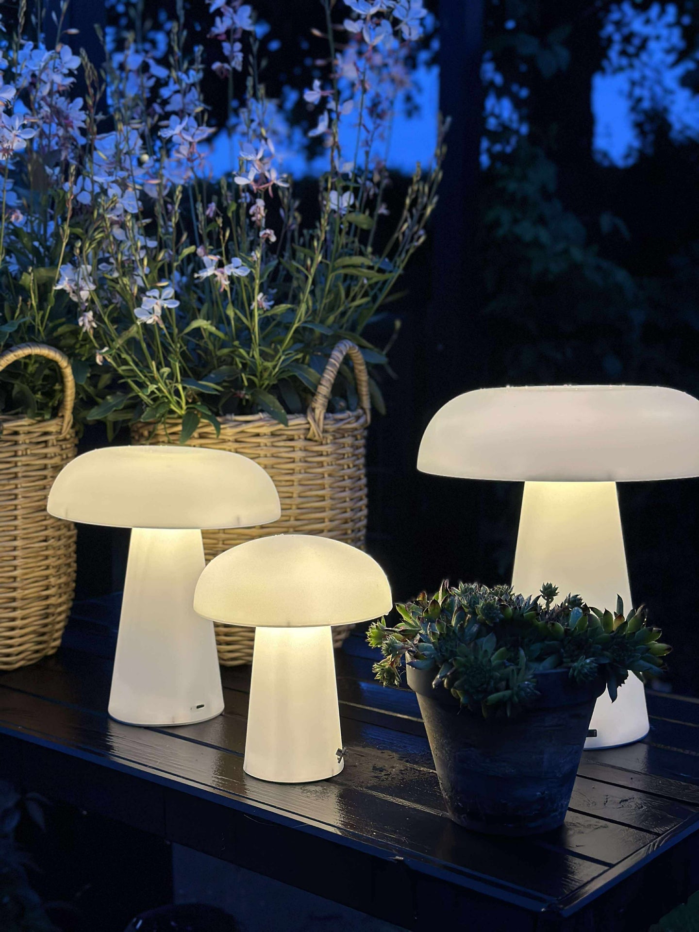 Mushroom oppladbar - Large