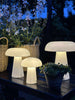 Mushroom oppladbar - Small