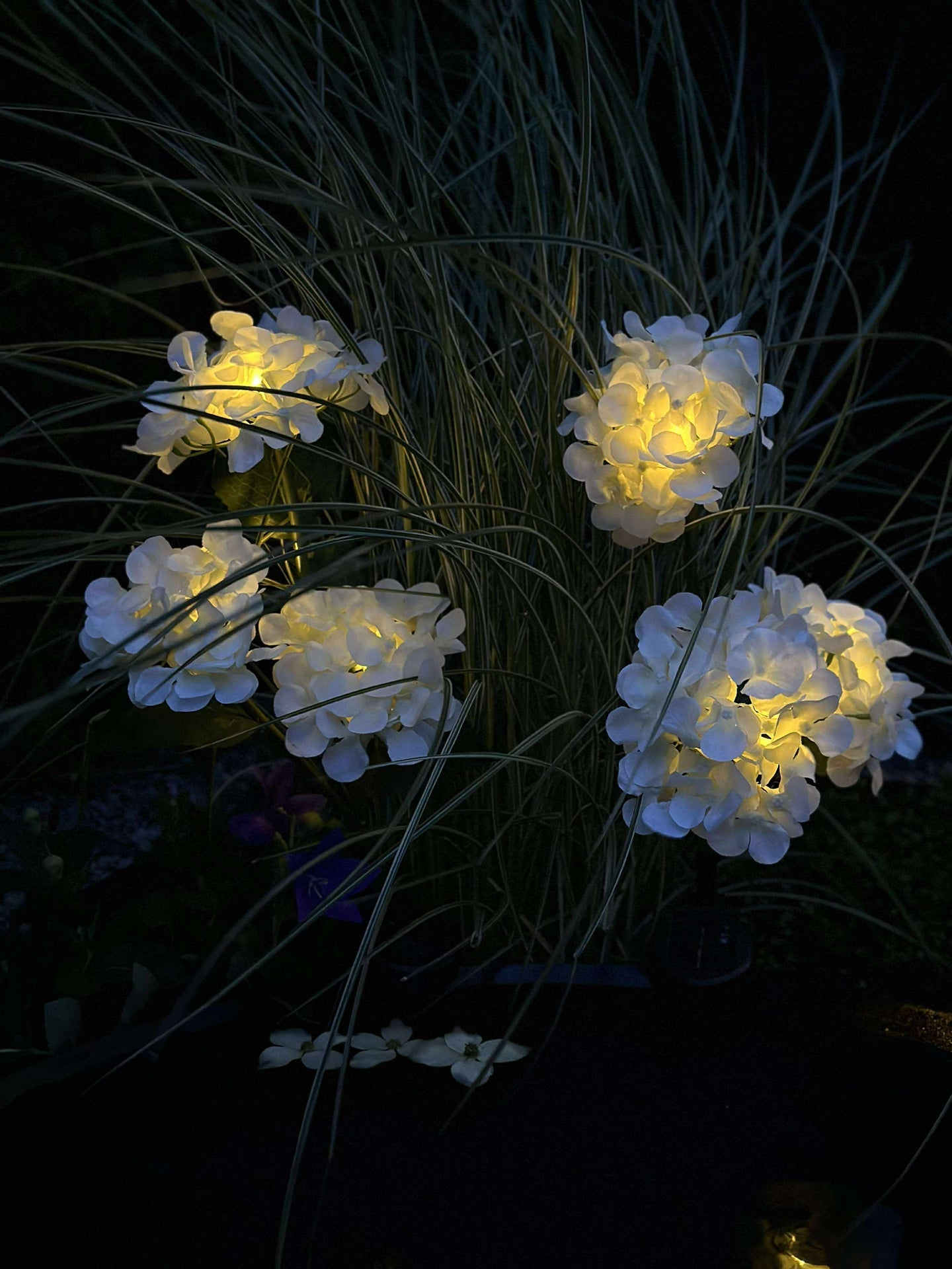 Hortensia med solceller - Hvit