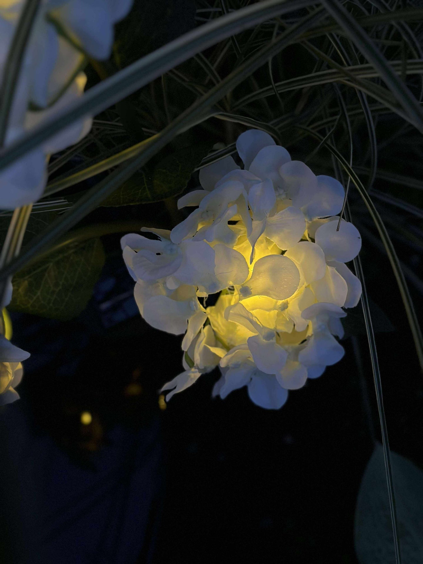 Hortensia med solceller - Hvit