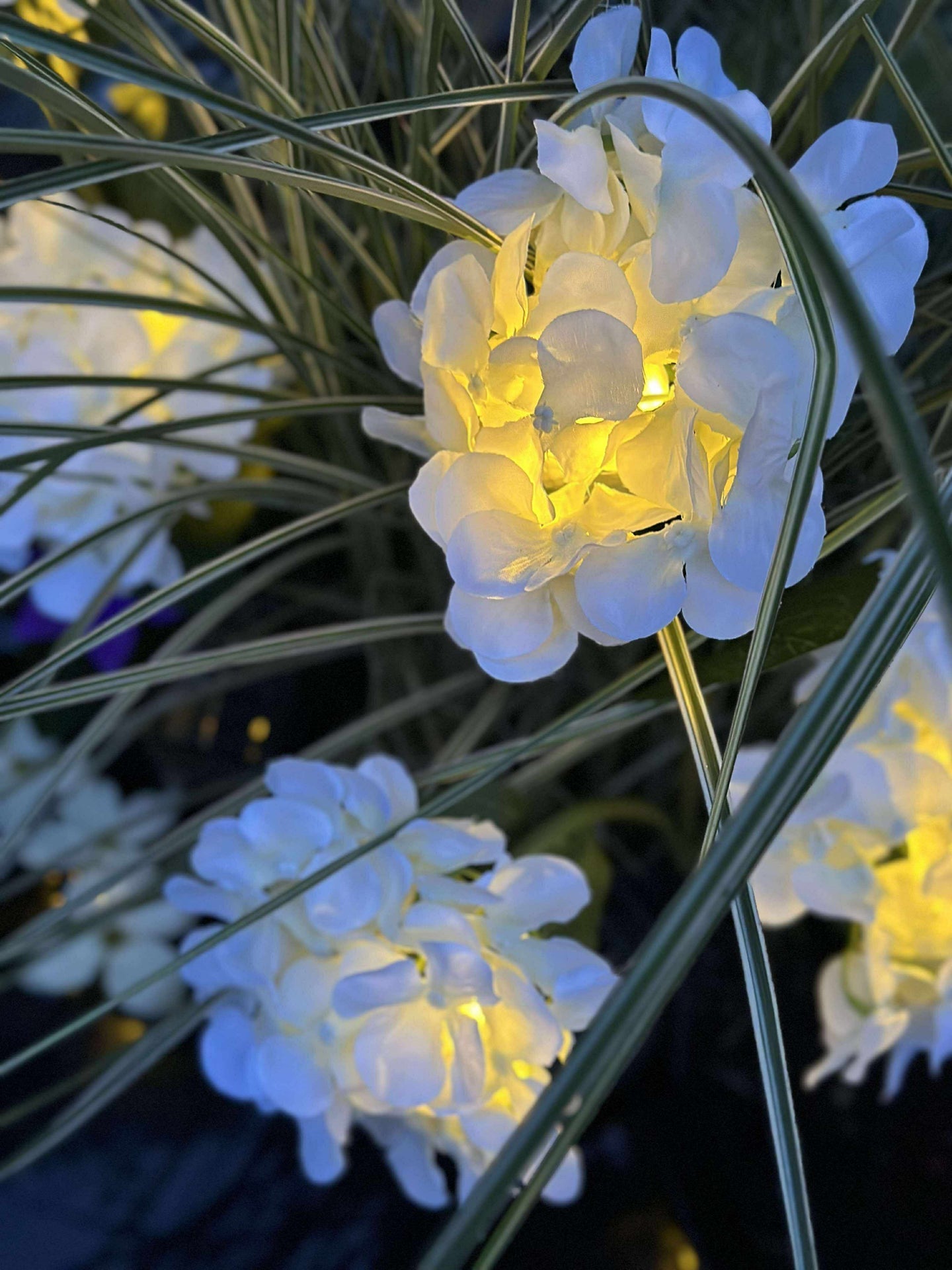 Hortensia med solceller - Hvit