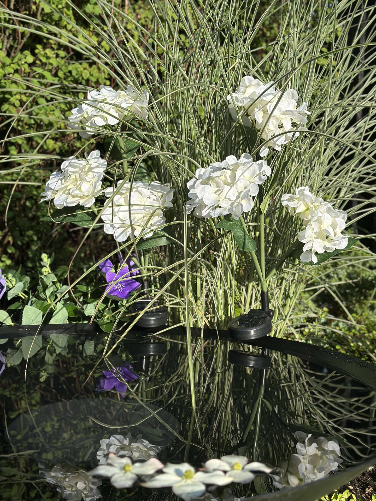 Hortensia med solceller - Hvit