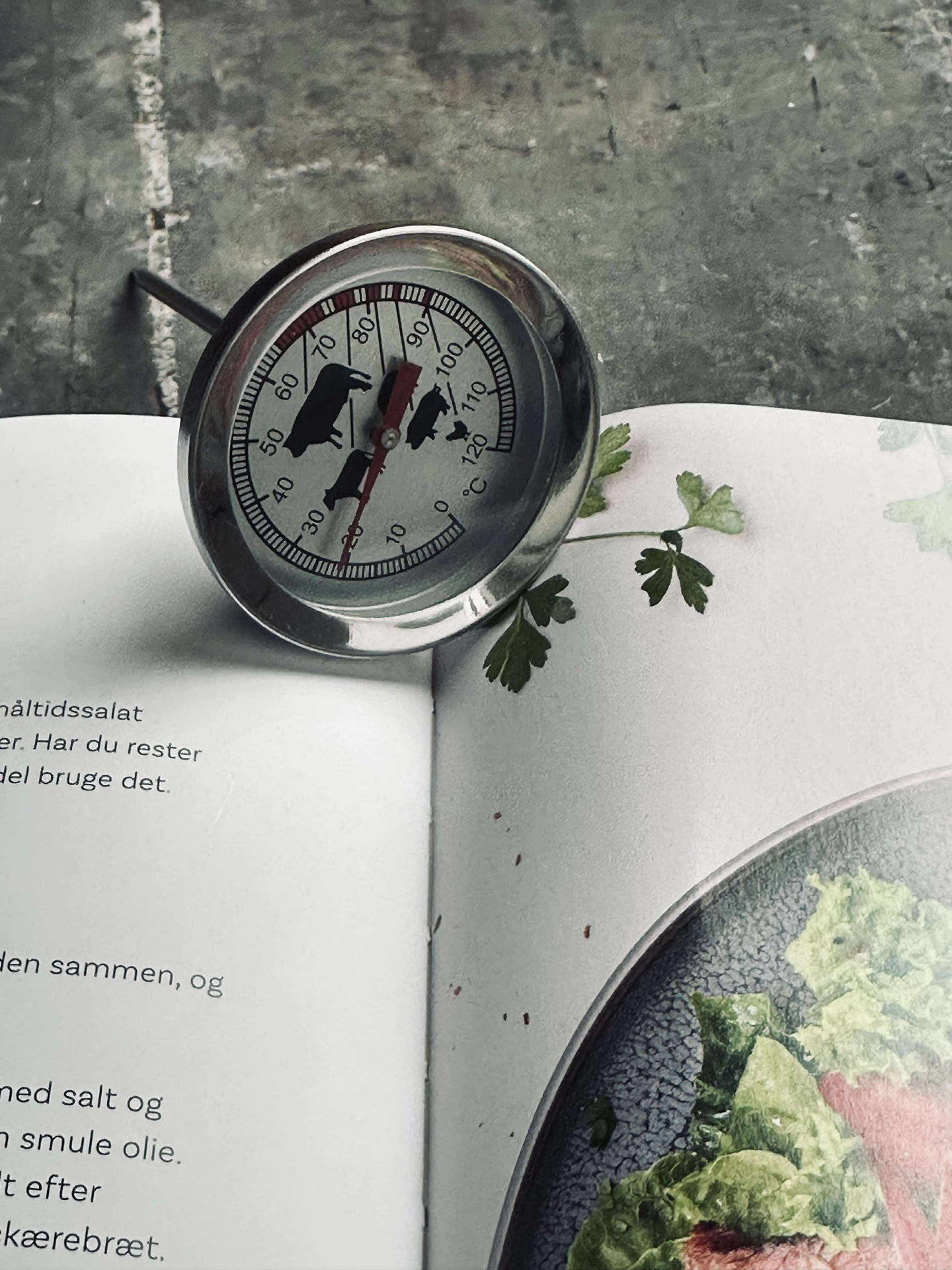 Termometer til kjøtt