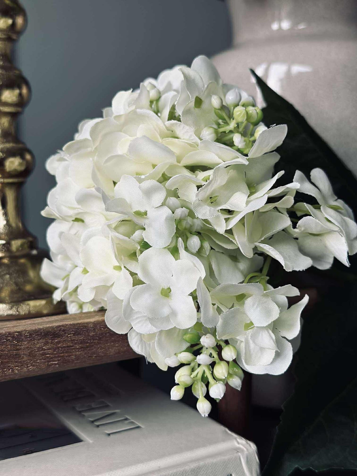 Hortensia Hvit