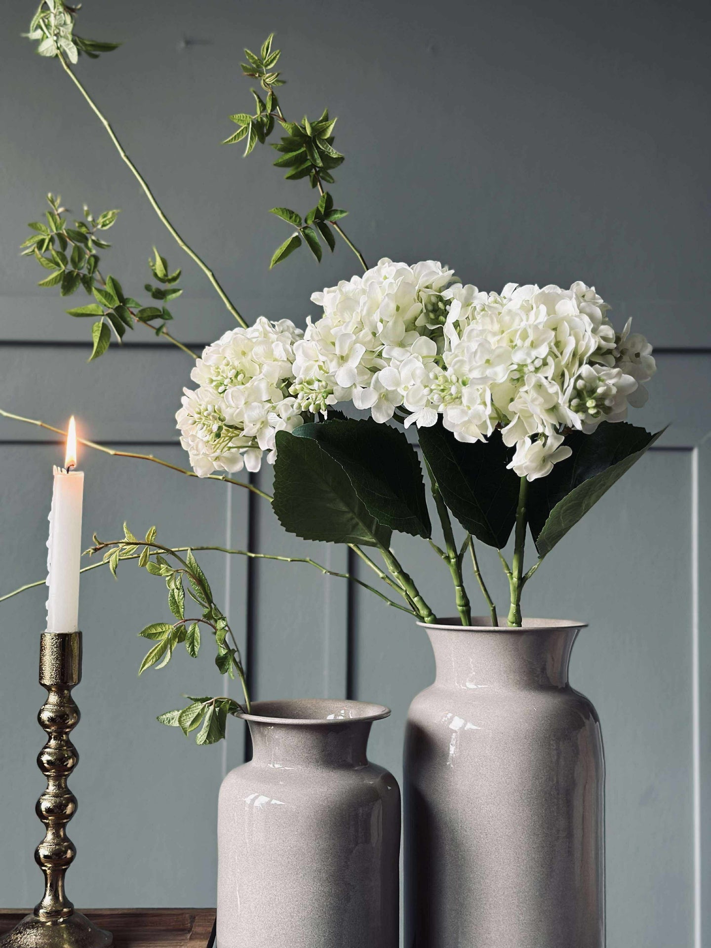Hortensia Hvit