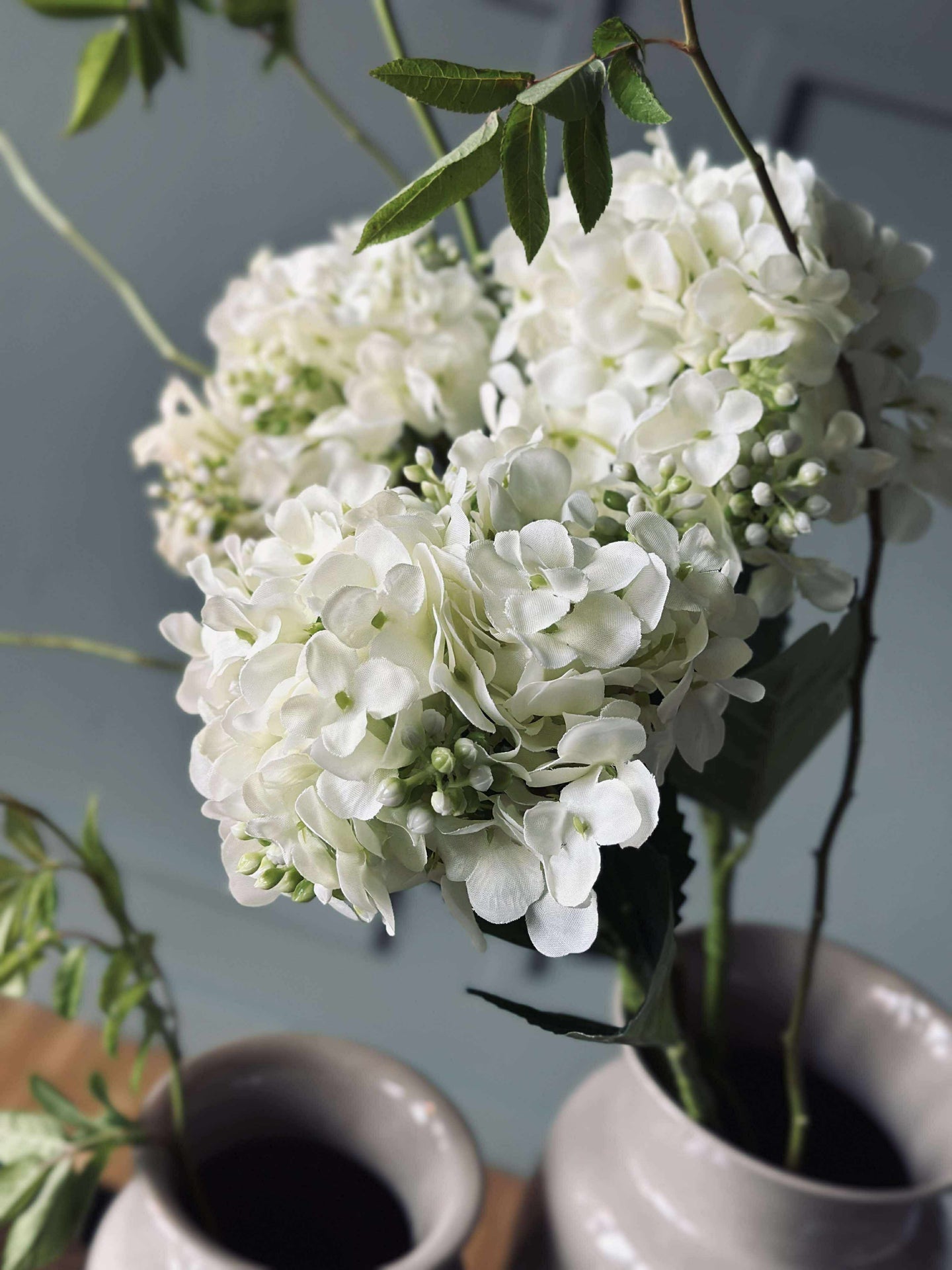 Hortensia Hvit