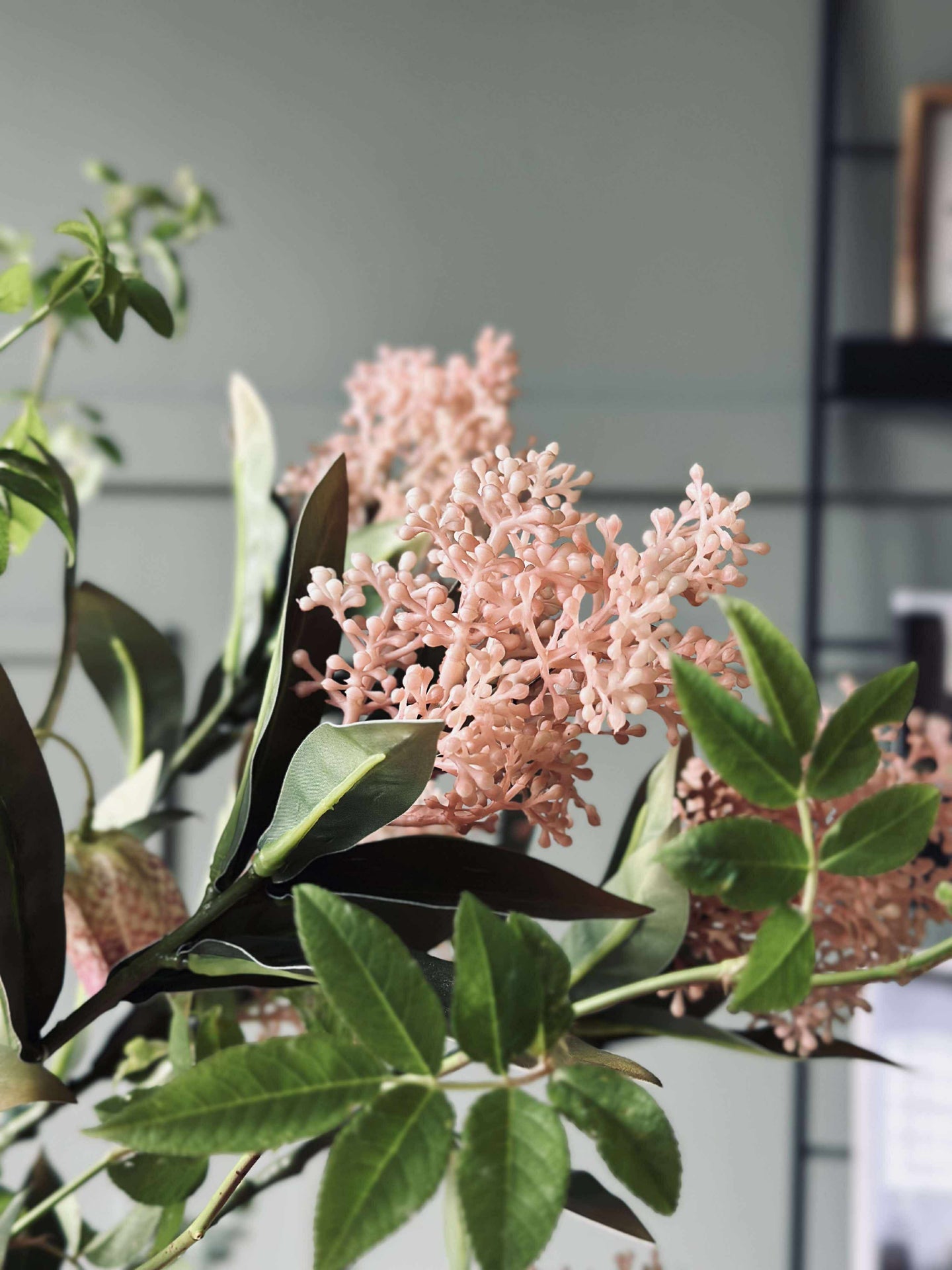 Blomsterstilk -skimmia MIX