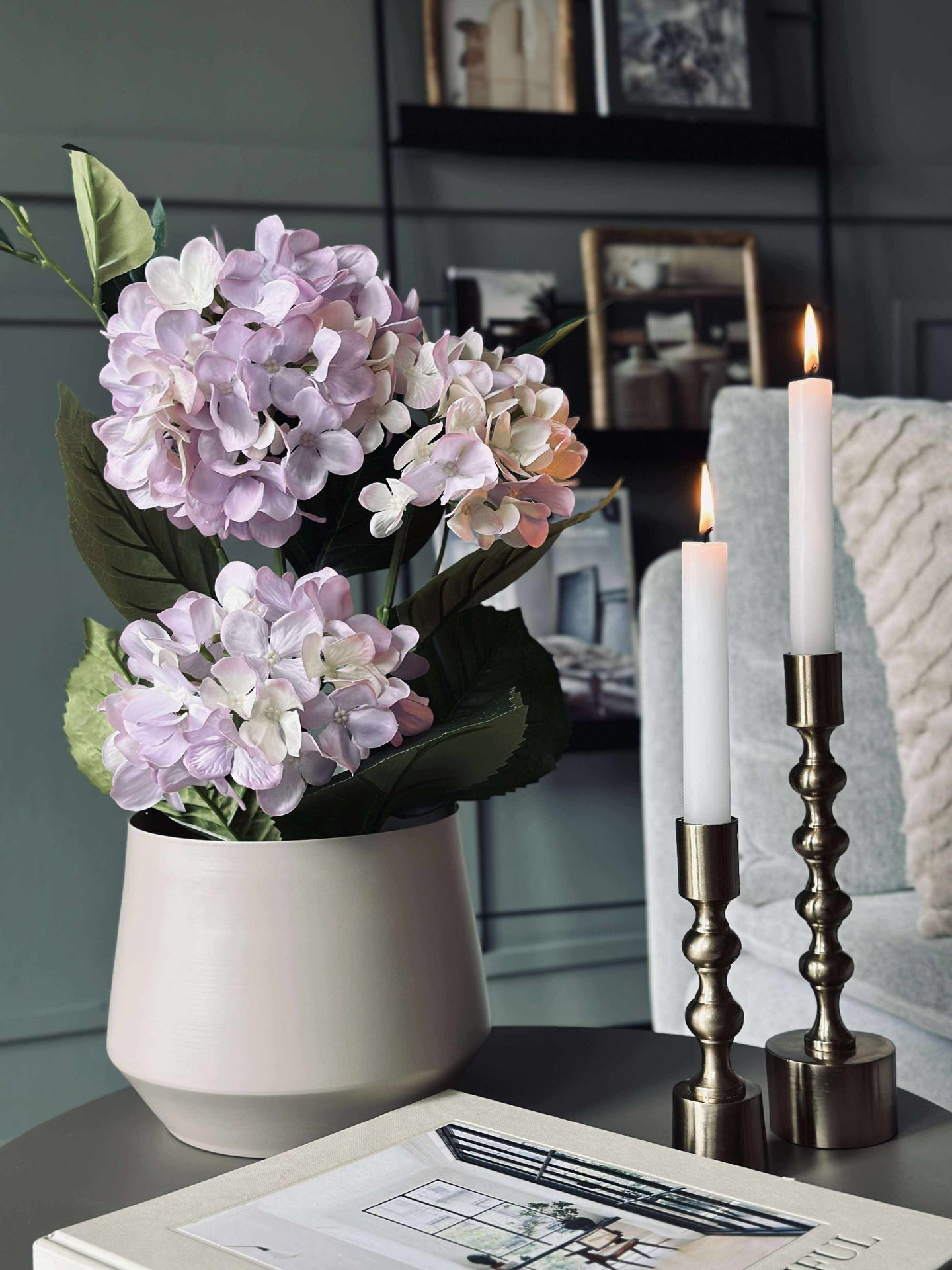 Hortensia i potte - Syrin