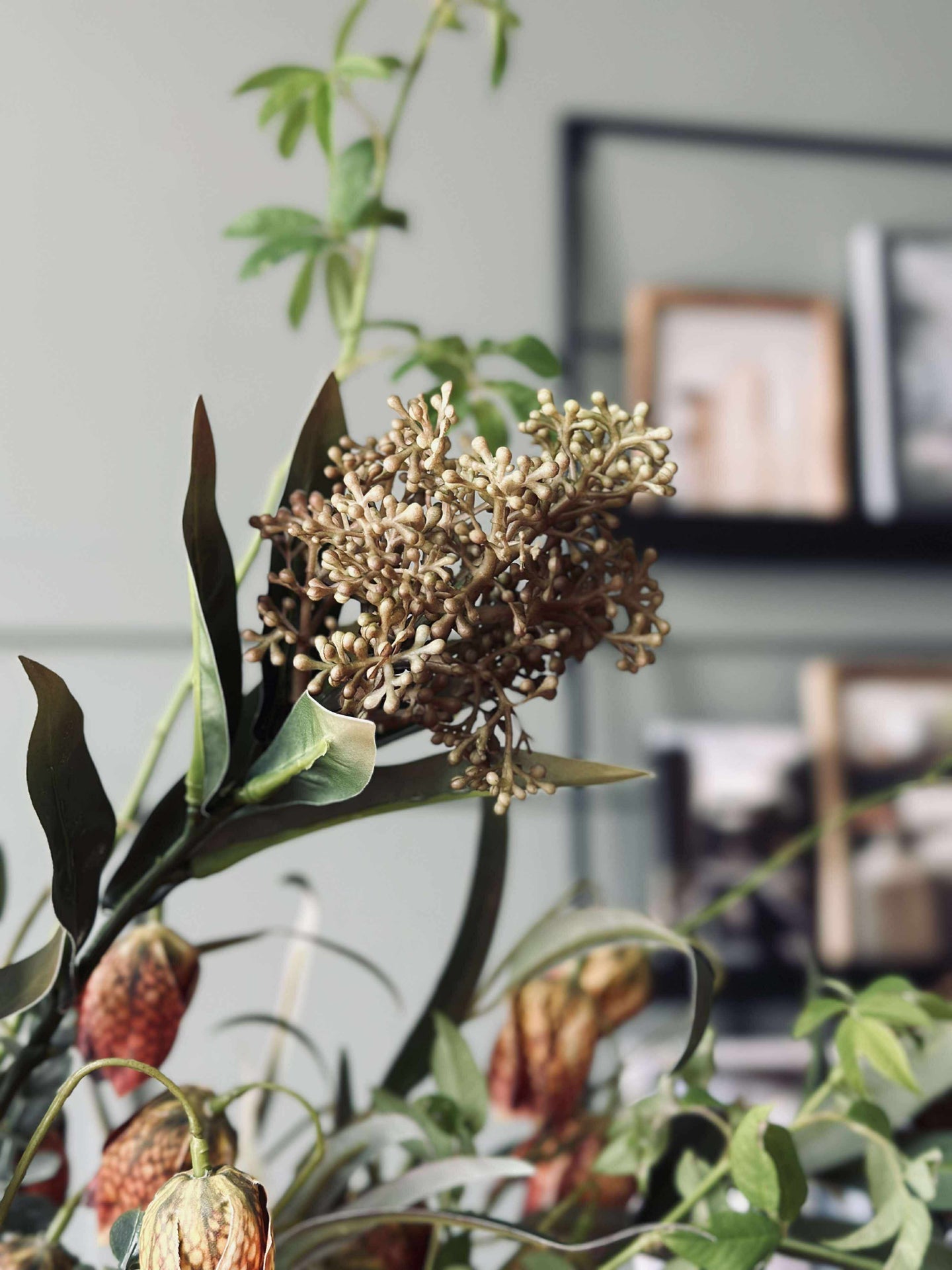 Blomsterstilk -skimmia MIX
