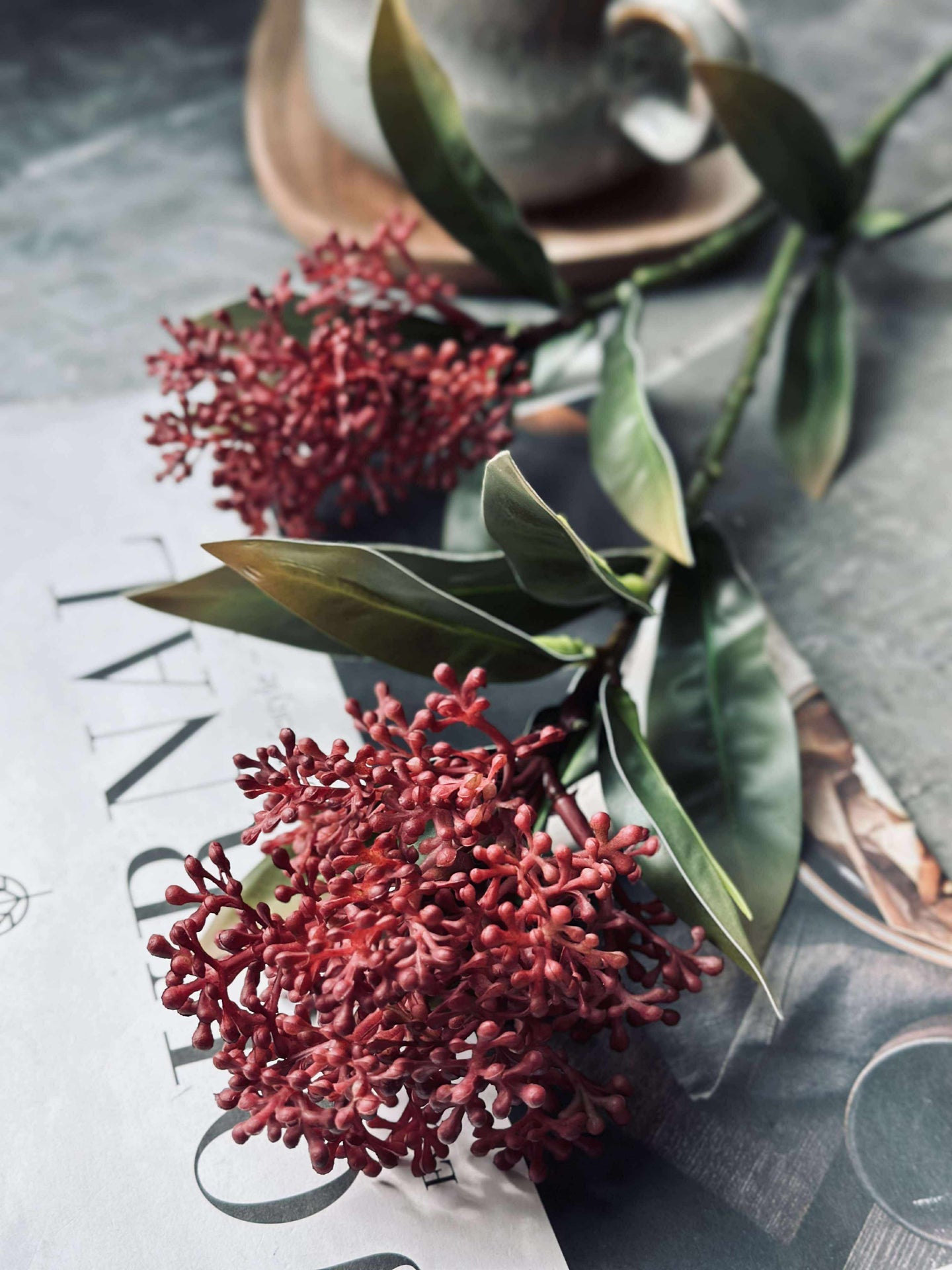 Blomsterstilk -skimmia MIX