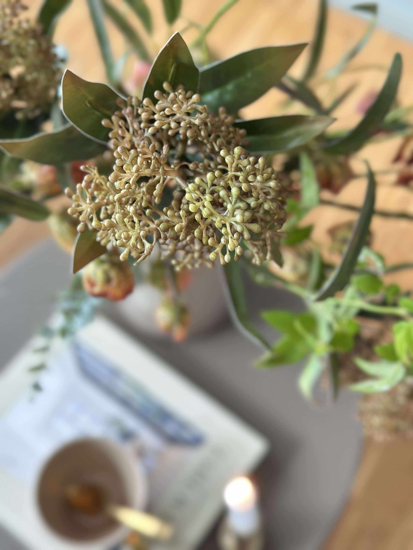 Blomsterstilk -skimmia MIX