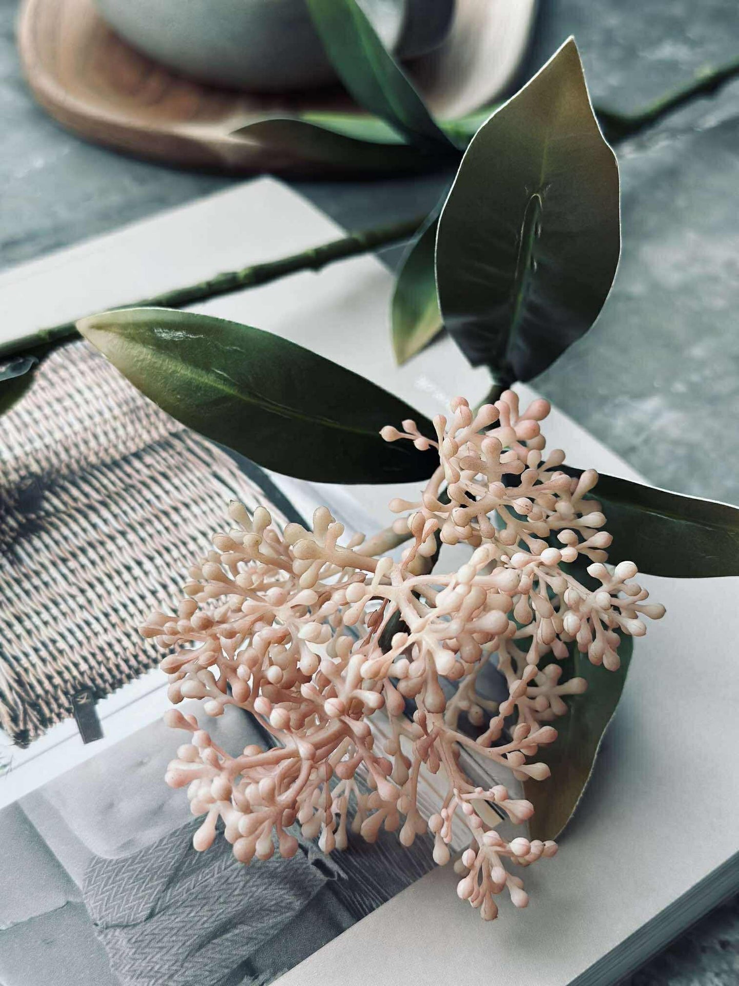 Blomsterstilk -skimmia MIX