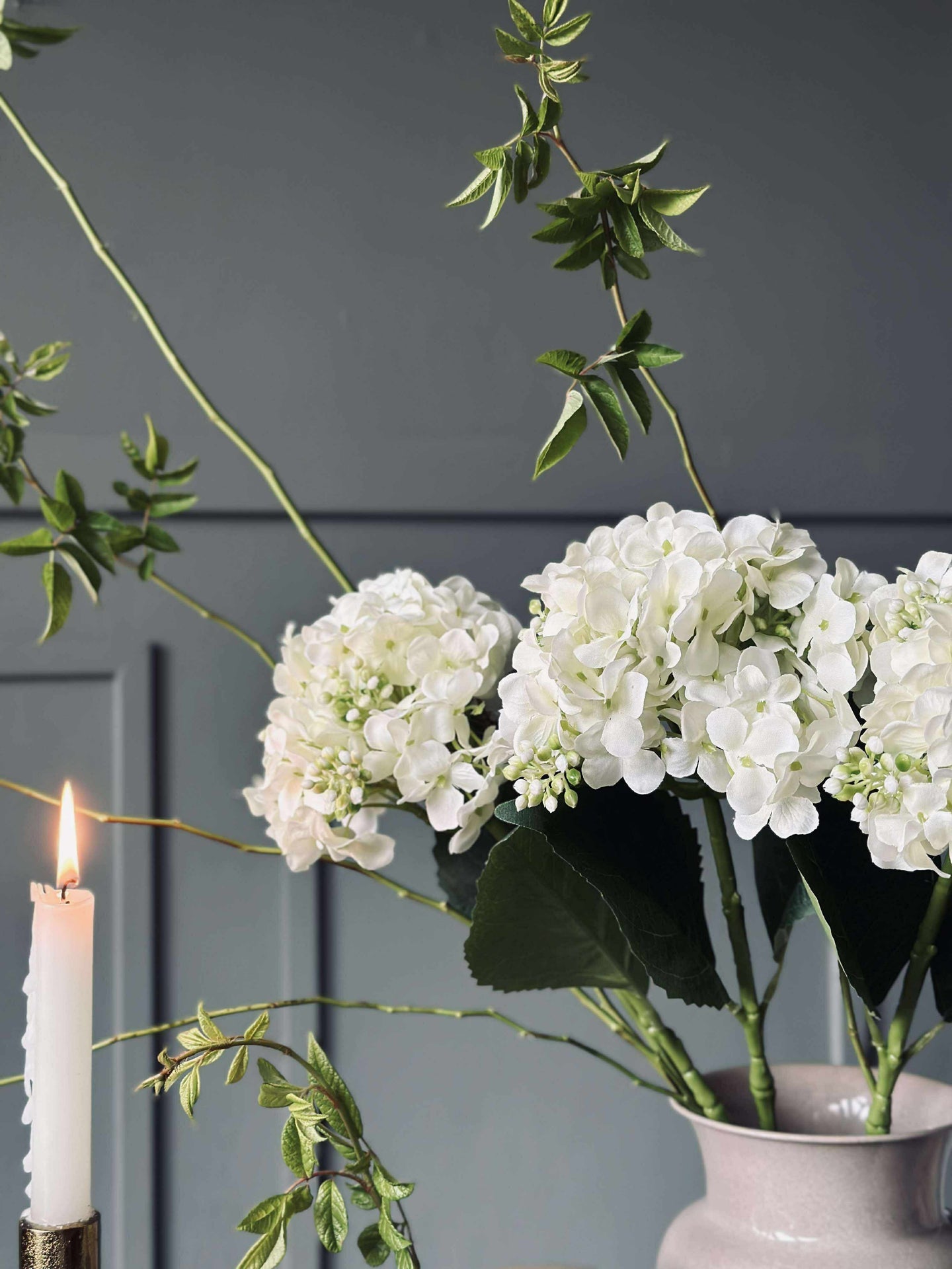 Hortensia Hvit