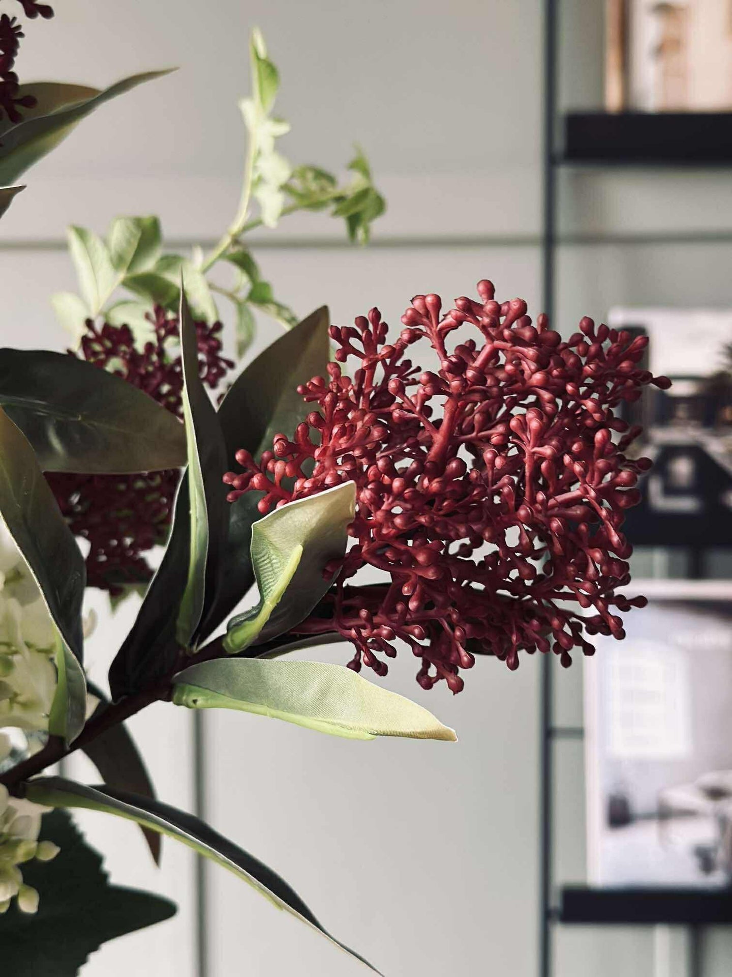 Blomsterstilk -skimmia MIX