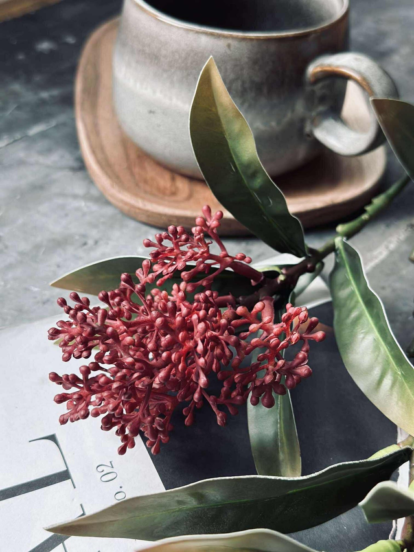 Blomsterstilk -skimmia MIX