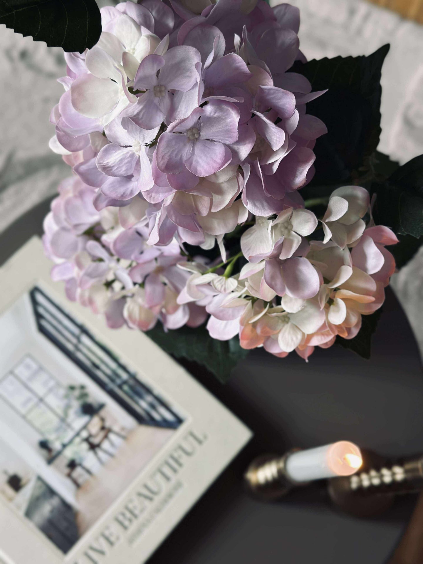 Hortensia i potte - Syrin