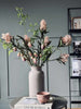 Blomsterstilk -skimmia MIX