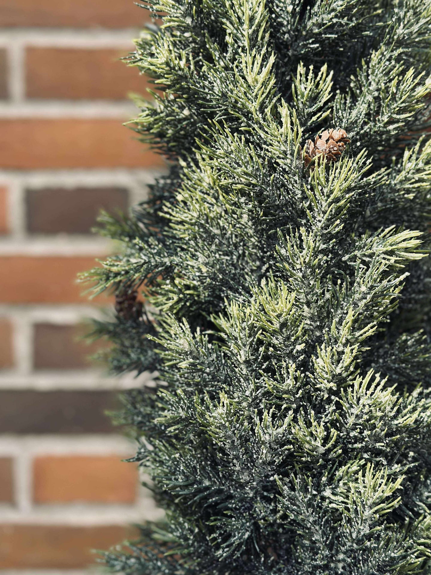 Furutre MIX - 106 cm