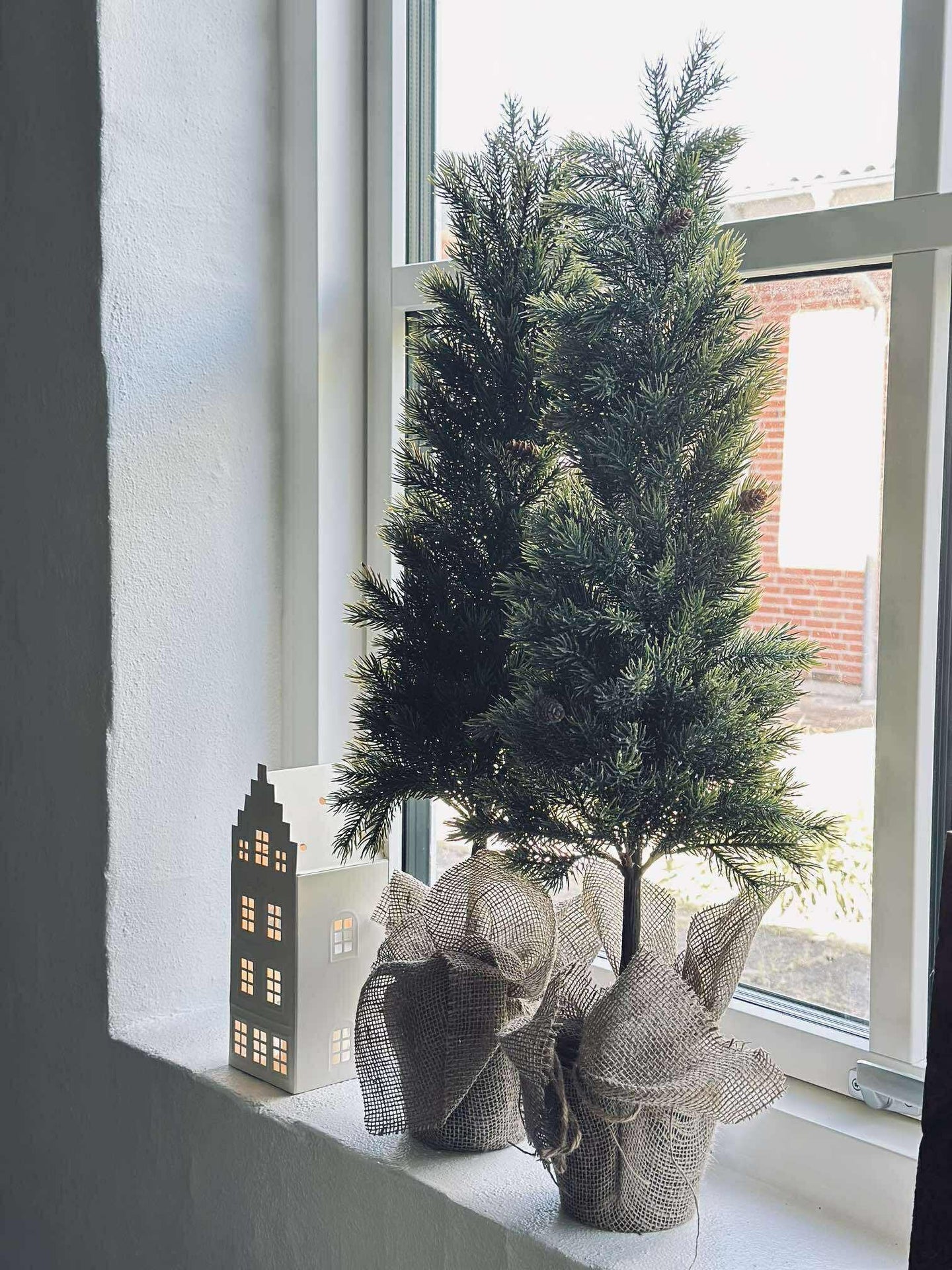 Pinetree MIX - 80 cm