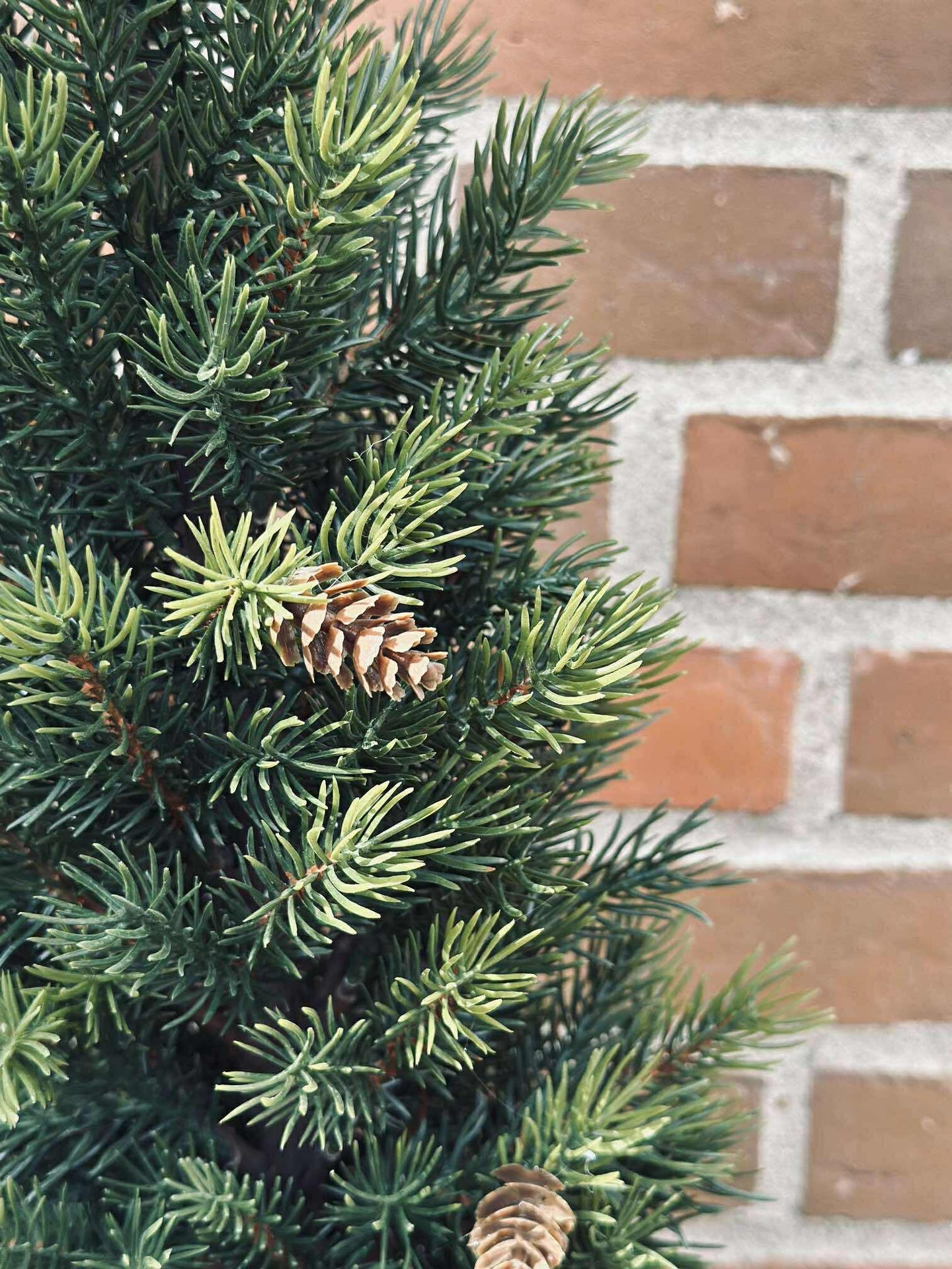 Furutre MIX - 106 cm