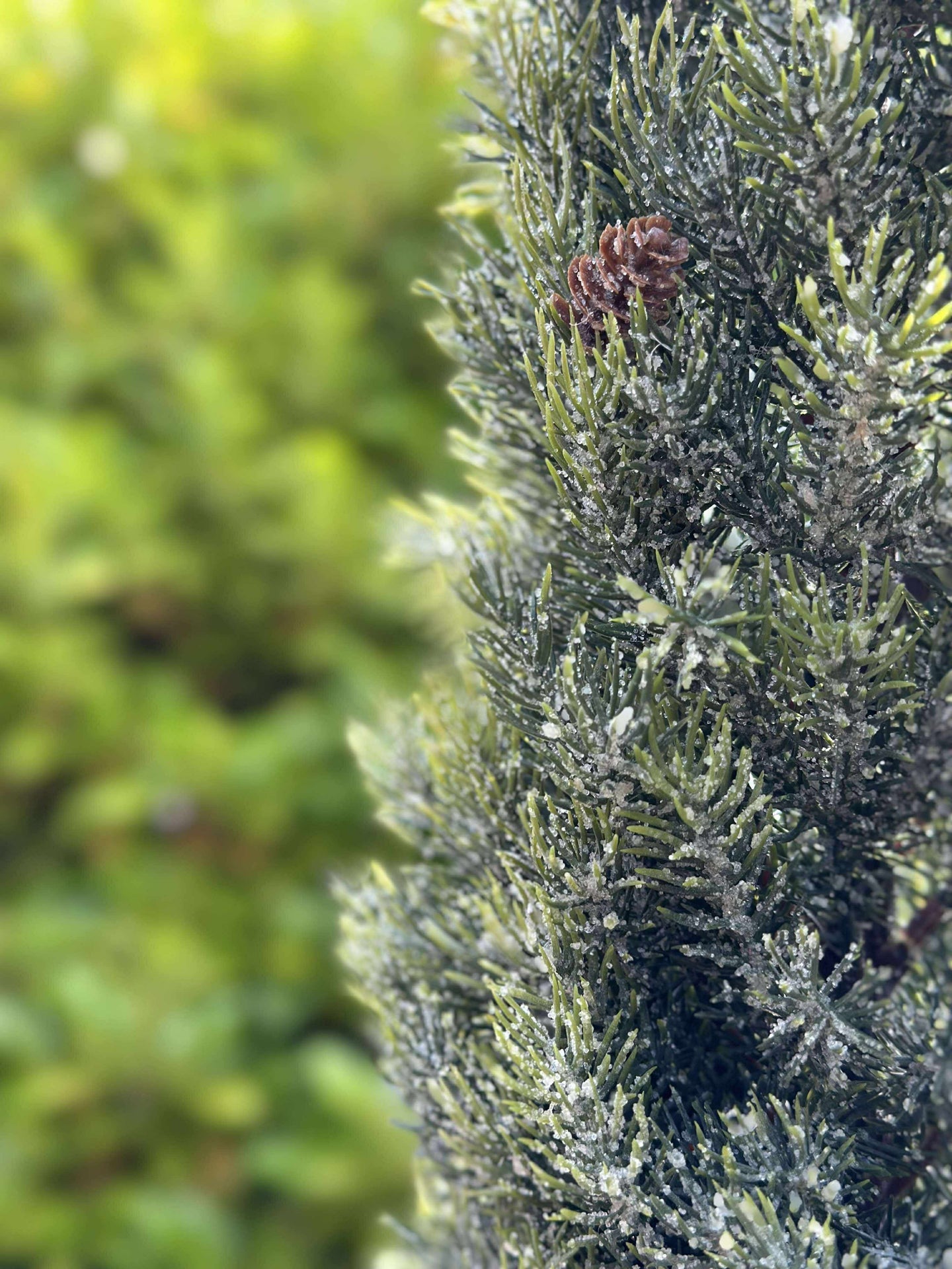 Furutre MIX - 106 cm