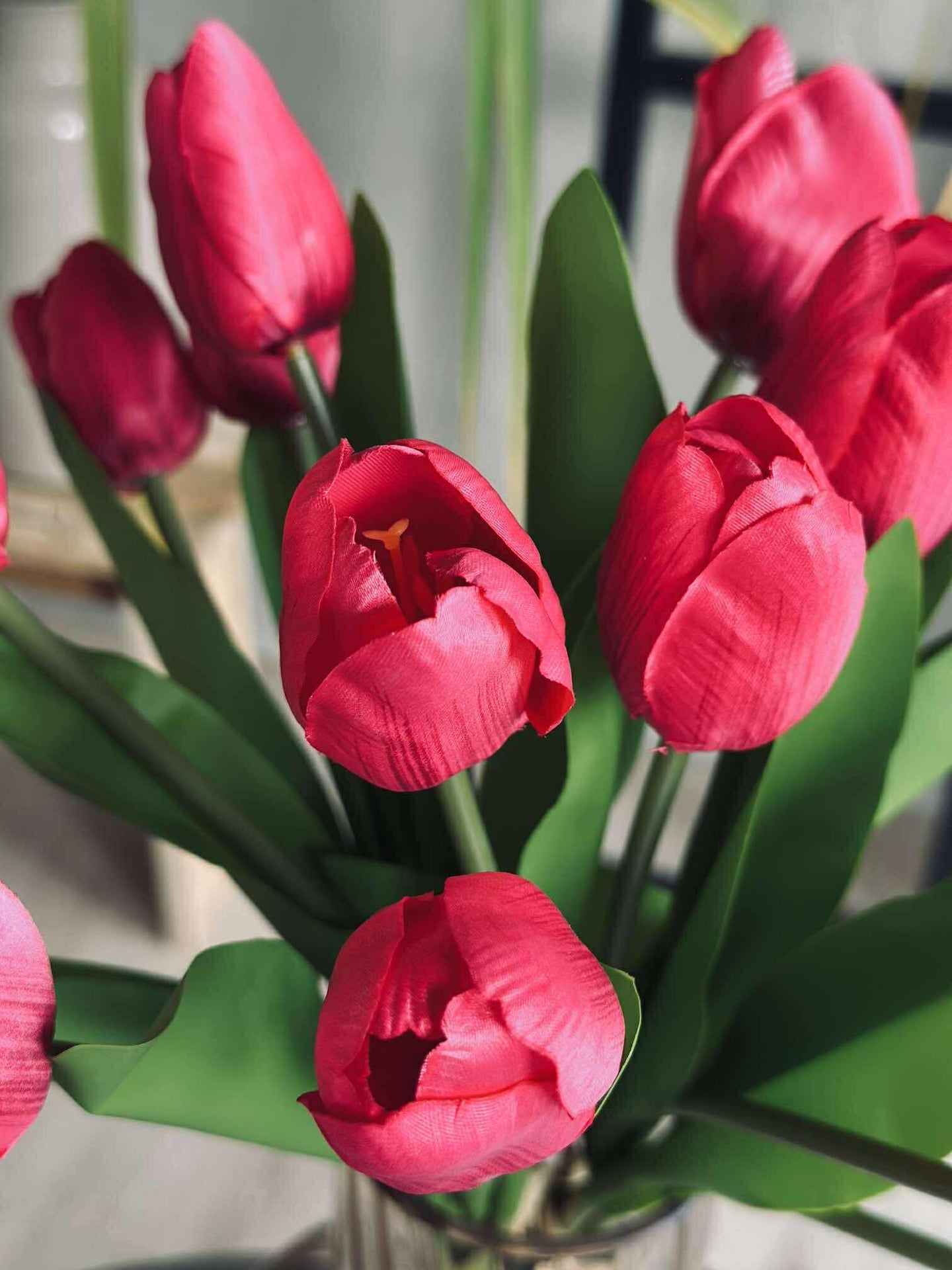 Tulipaner Silkelook– Flere farger